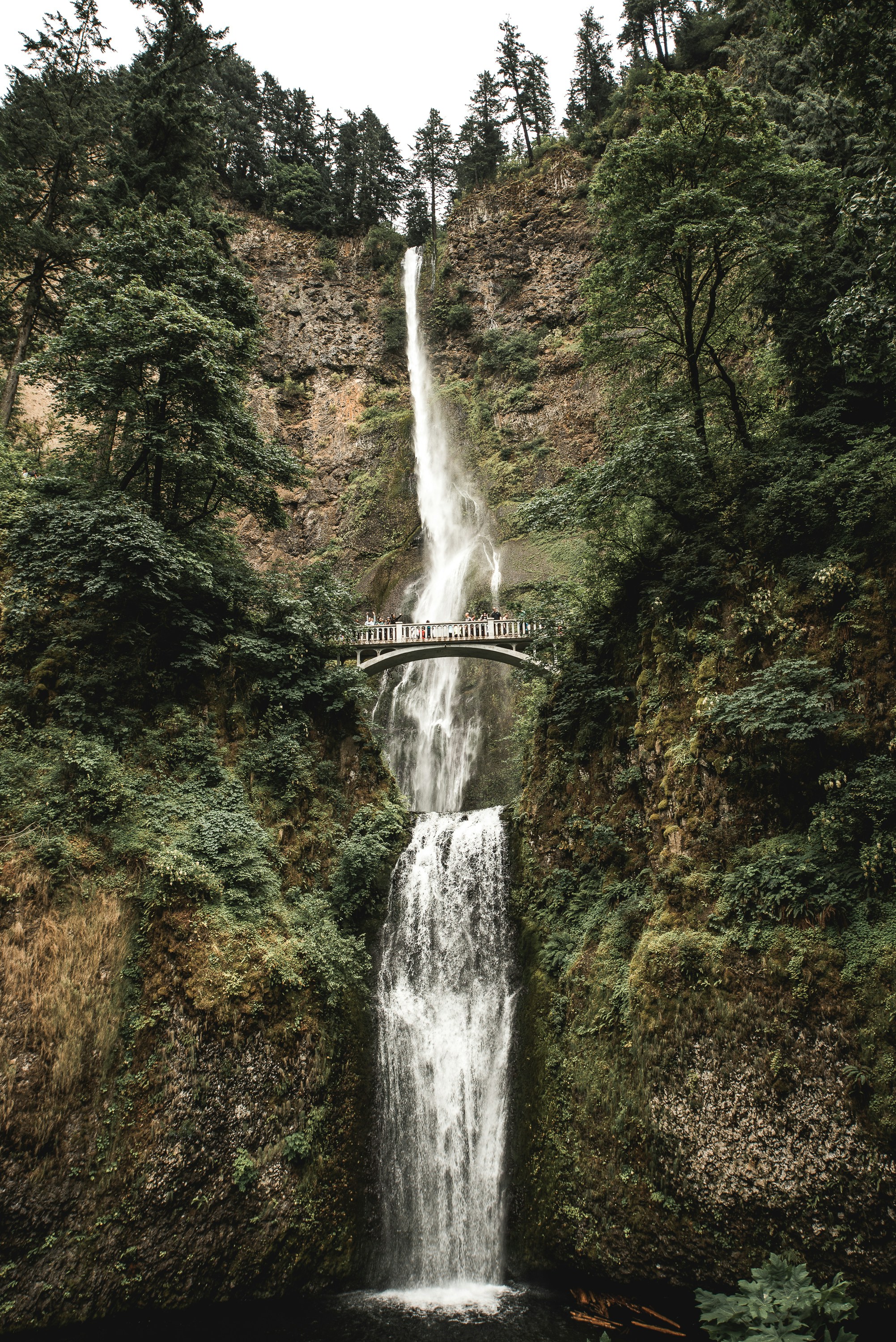 Tourists On A Waterfall Bridge