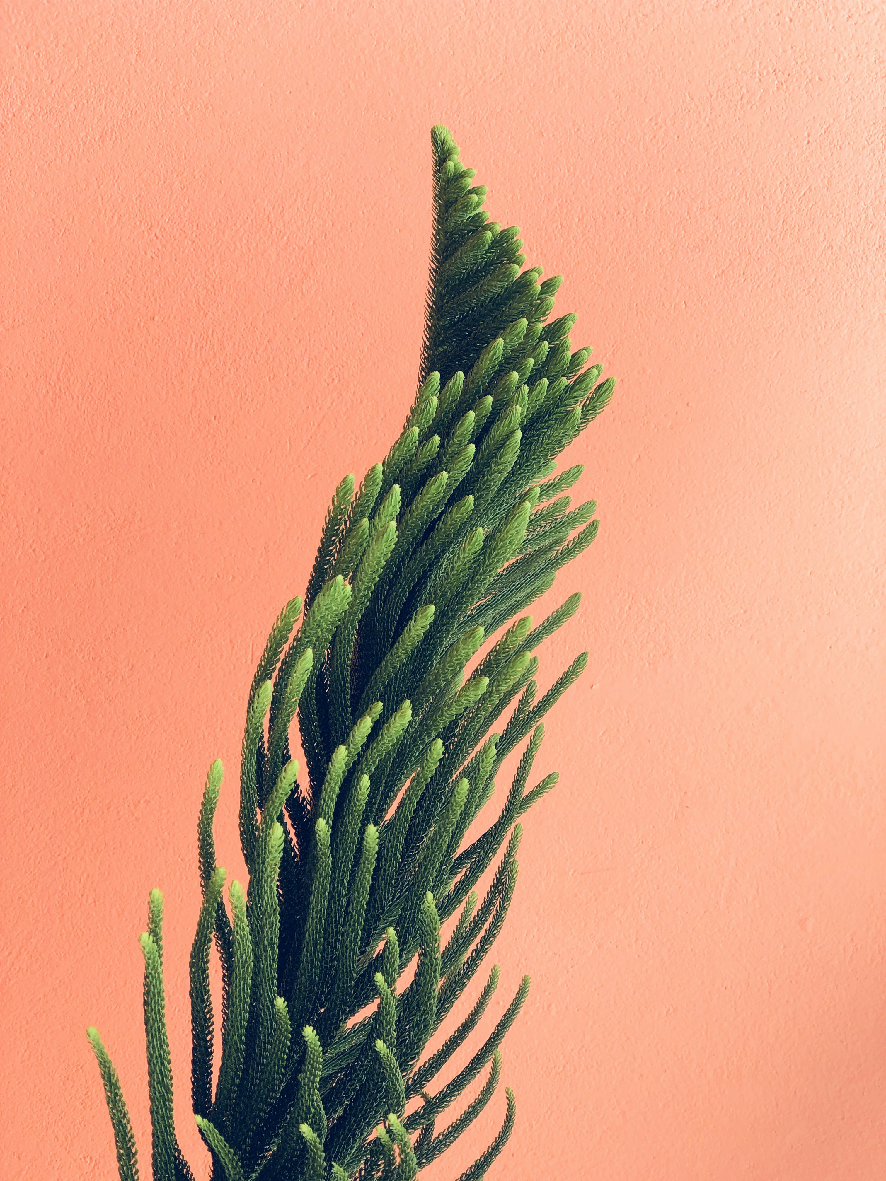 Has A Brief Moment Of Inspiration While In Cap Haitian, Haiti. I Was Traveling Across Haiti With Haiti Design Co. They Are A Company That Empowers Haitian Artisians To Create Quality Jewelry And Fine Leather Goods.