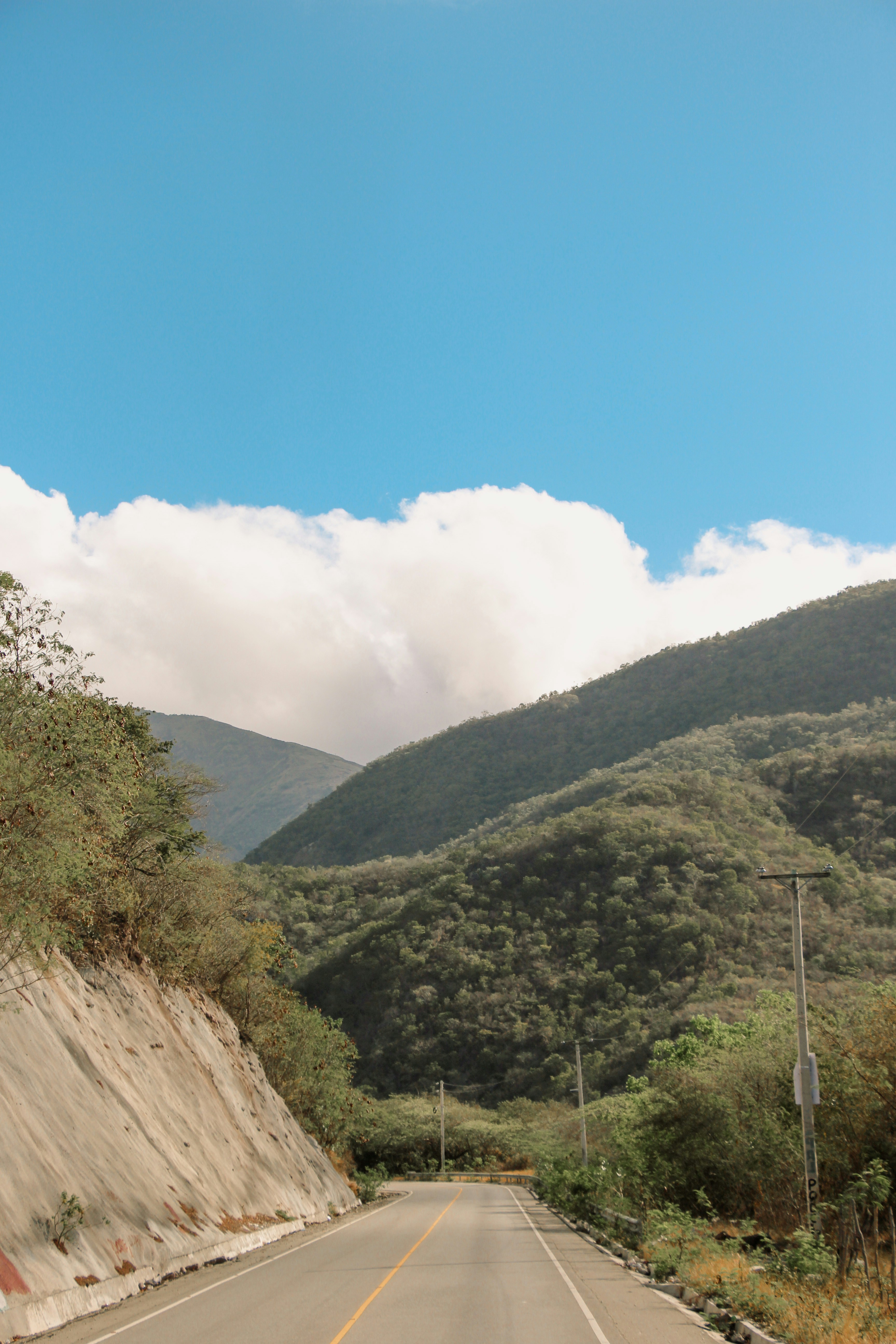 Green Trees On Mountain Under Blue Sky During Daytime