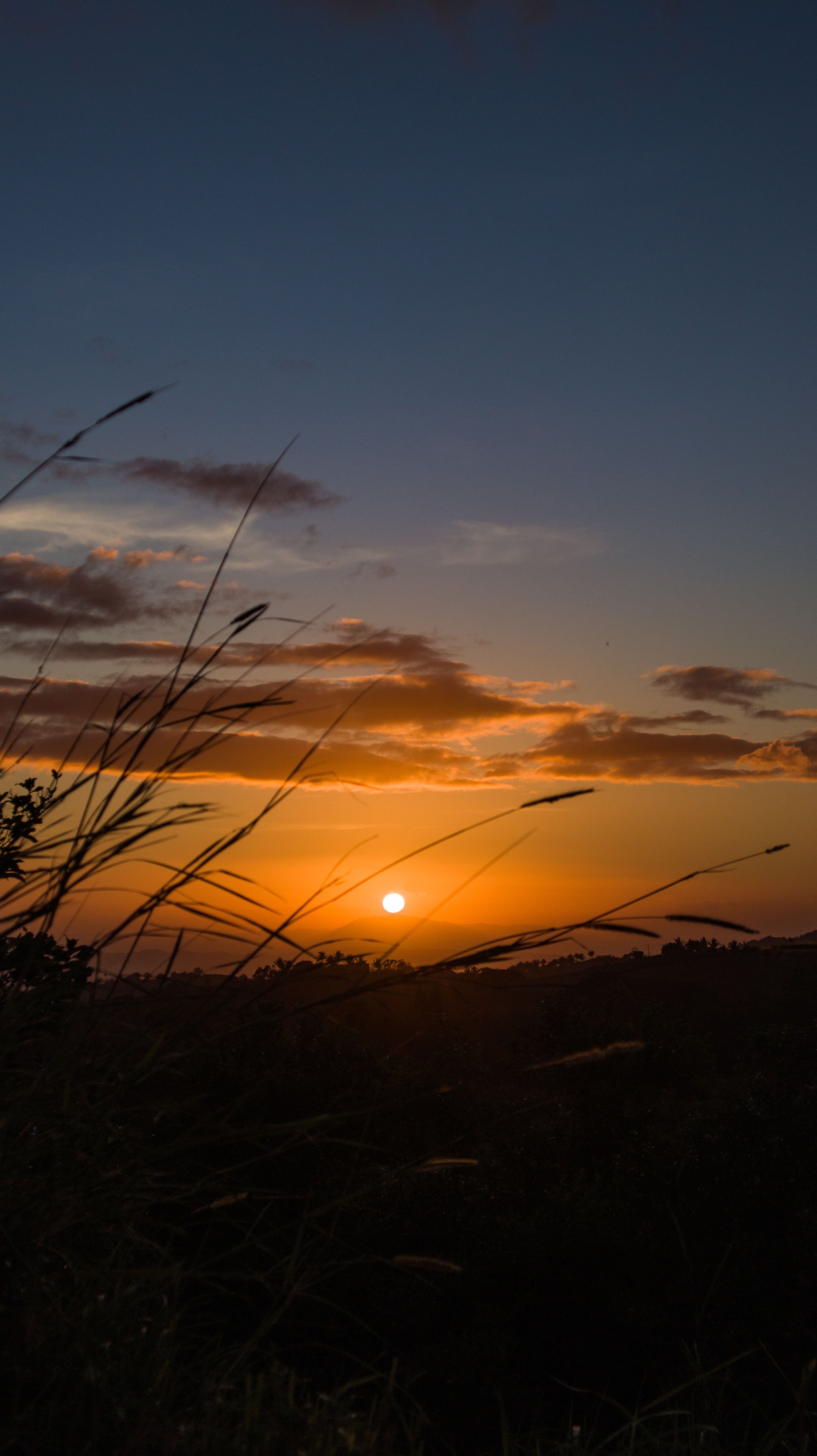 Beautiful Sunset Behind Silhouetted Grasses In A Scenic Countryside Landscape. HD mobile wallpaper