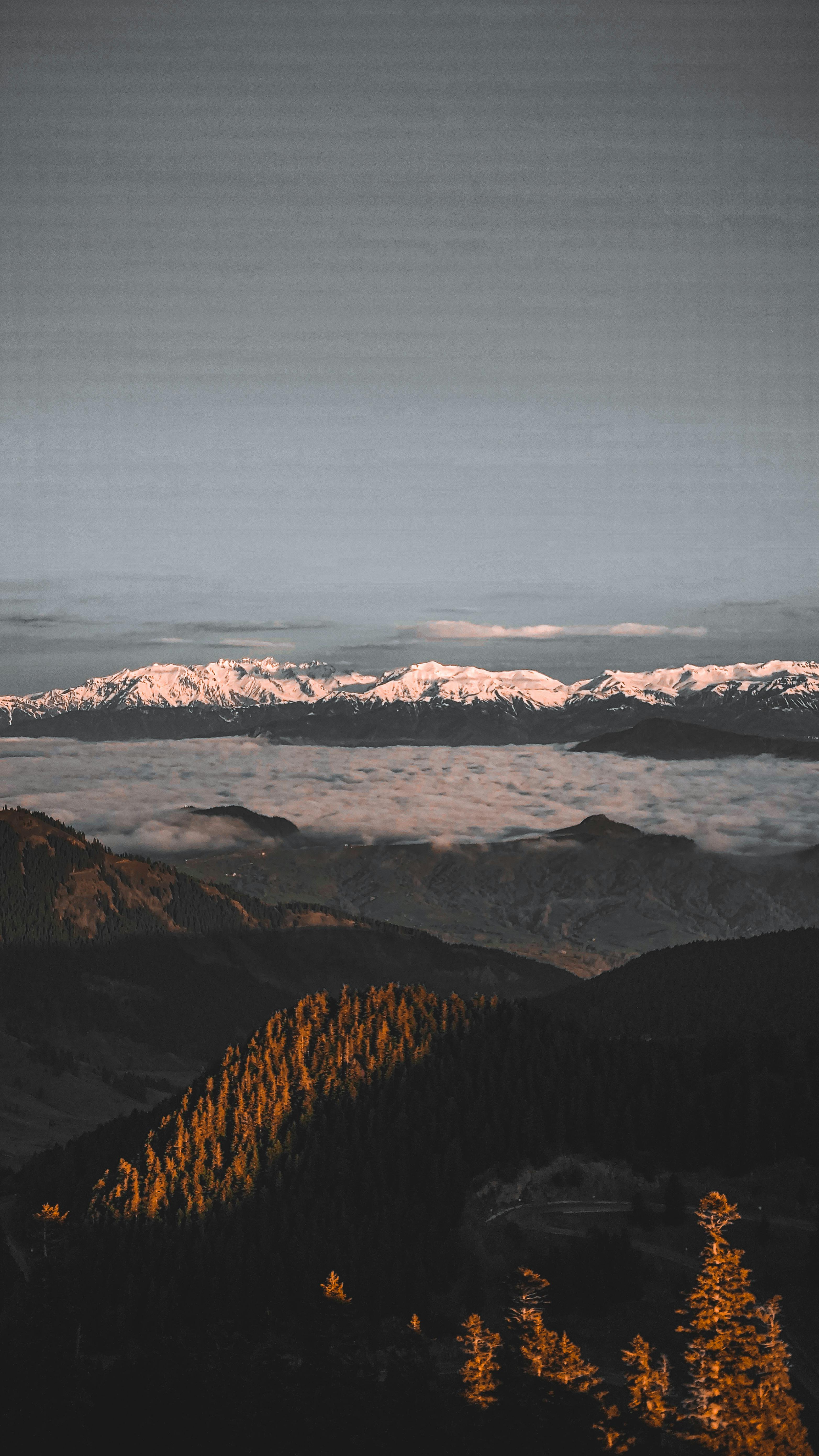 Stunning Sunset View Of Snowcapped Mountains And Trees In Scenic Landscape. HD mobile wallpaper