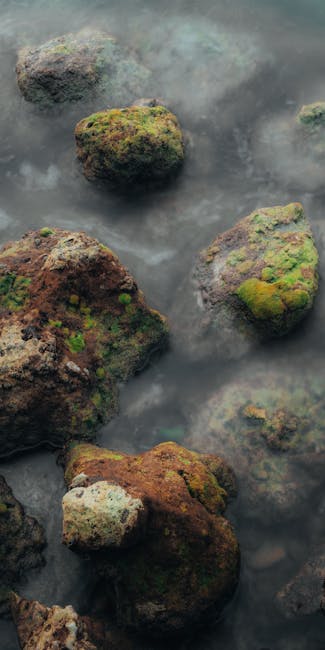 苔藓覆盖的岩石在浪花中安静沉睡壁纸预览