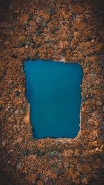 A Stunning Aerial Shot Of A Blue Lake Surrounded By Fall Foliage In A Forest. wallpaper preview