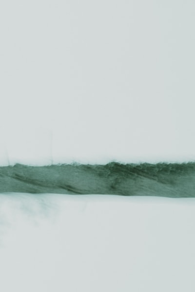 A Black And White Photo Of A Bird Flying In The Sky wallpaper preview