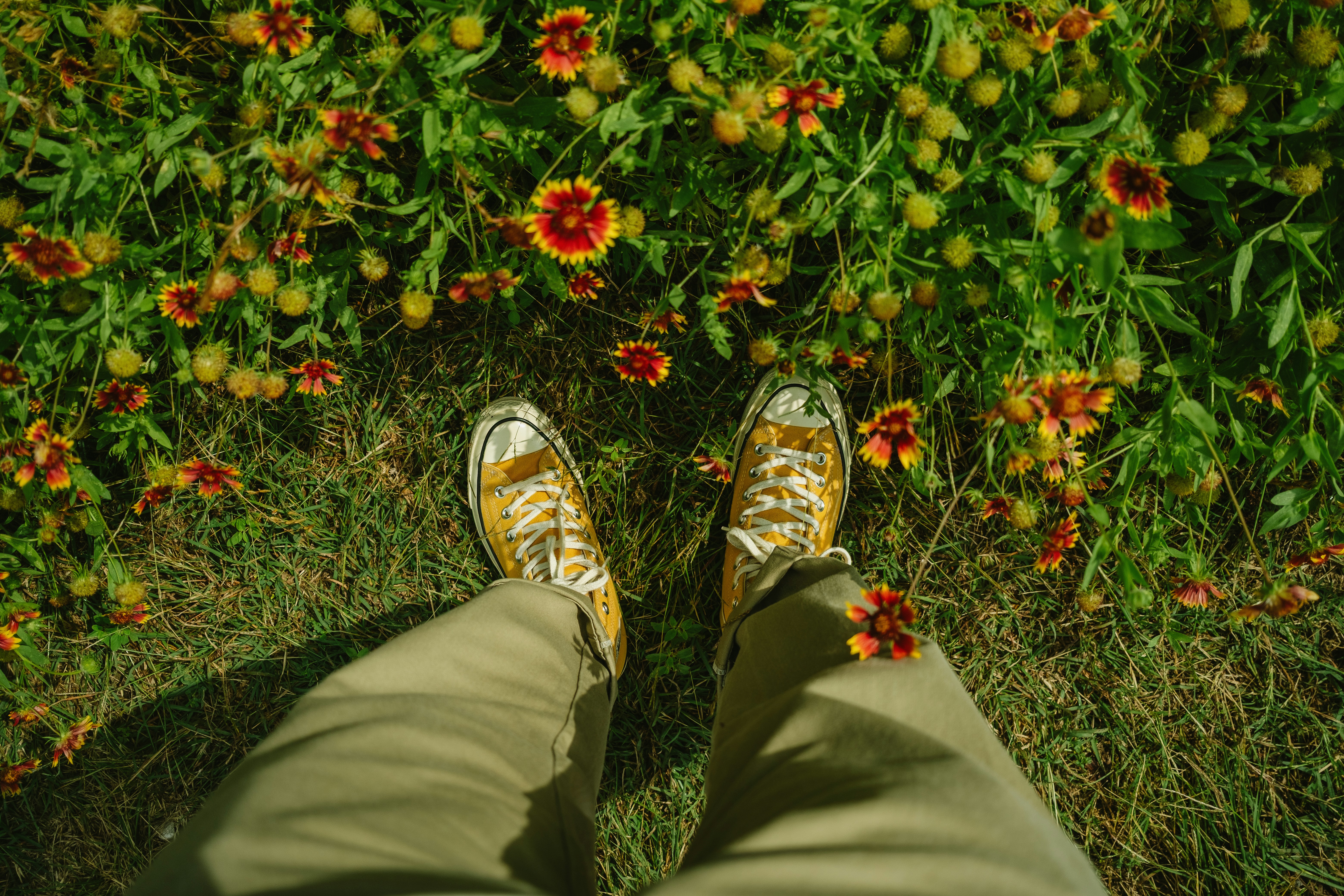 Feet In Yellow Sneakers Standing Among Red And Yellow Flowers. HD mobile wallpaper