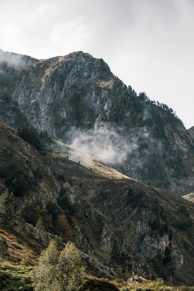 Rocky Mountain With Mist And Trees Under An Overcast Sky. wallpaper preview