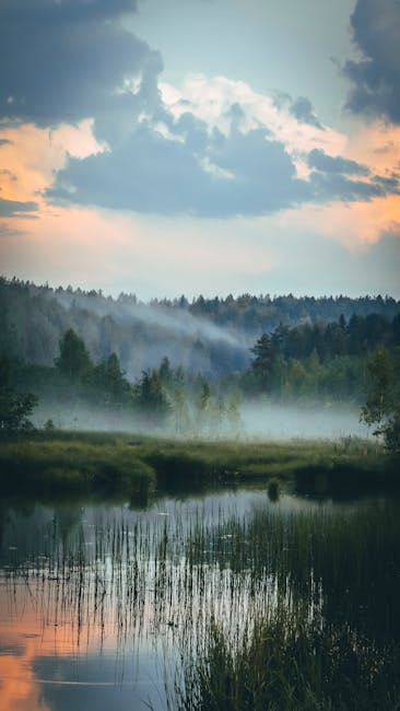 Tranquil Forest Scene With Mist Over Calm Water And Vibrant Sky At Sunrise, Perfect For Peaceful Themes. wallpaper preview