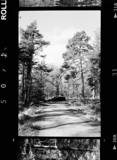 Rollei 400s Film, Taken With Rollei 35T wallpaper preview