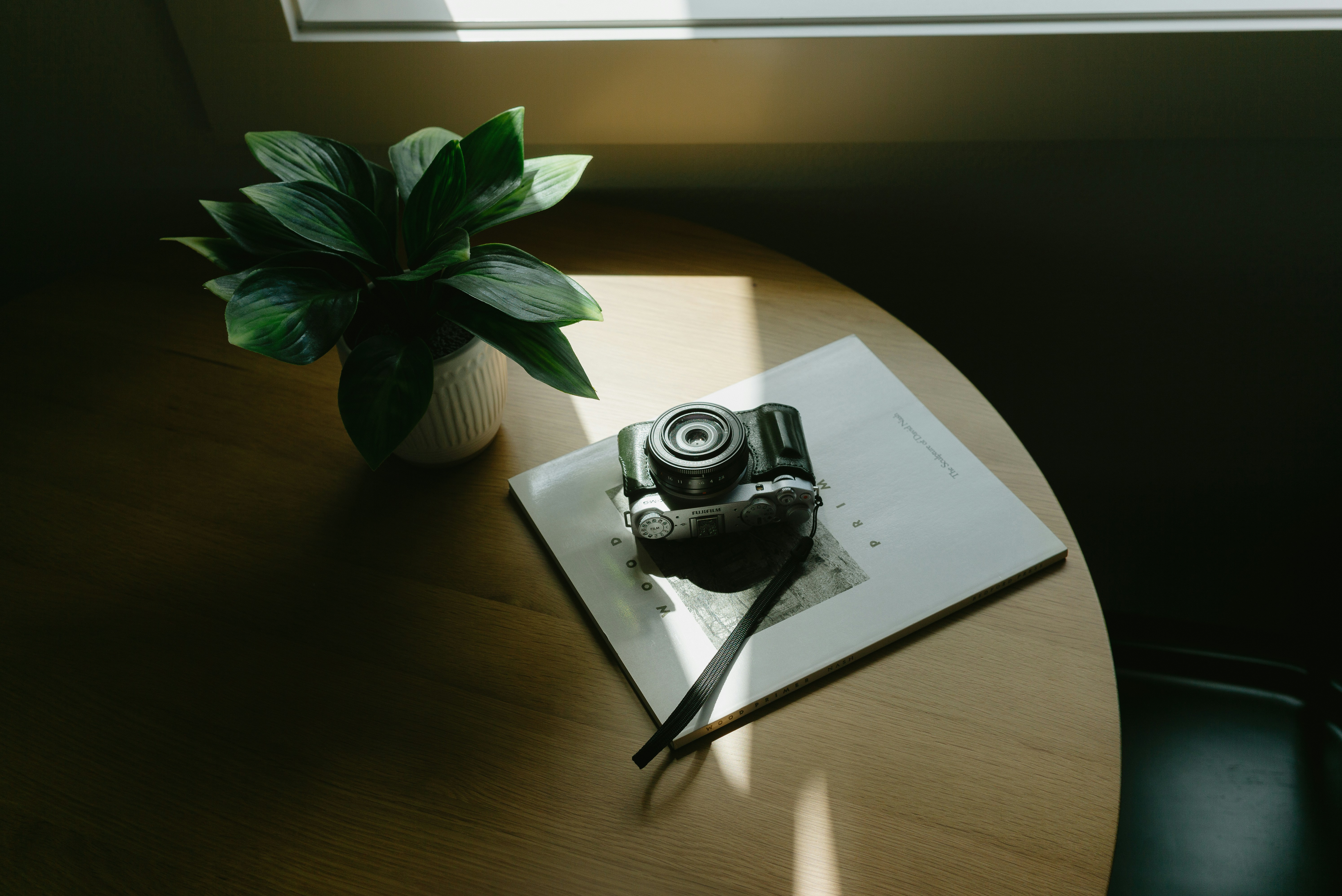 Vintage Camera And Plant On Wooden Table With Sunlight. HD mobile wallpaper