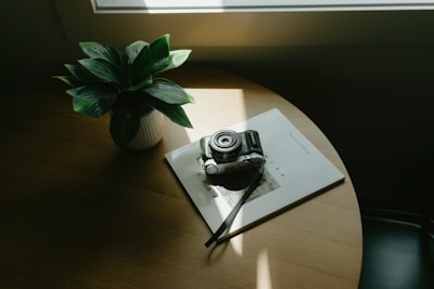 Vintage Camera And Plant On Wooden Table With Sunlight. wallpaper preview