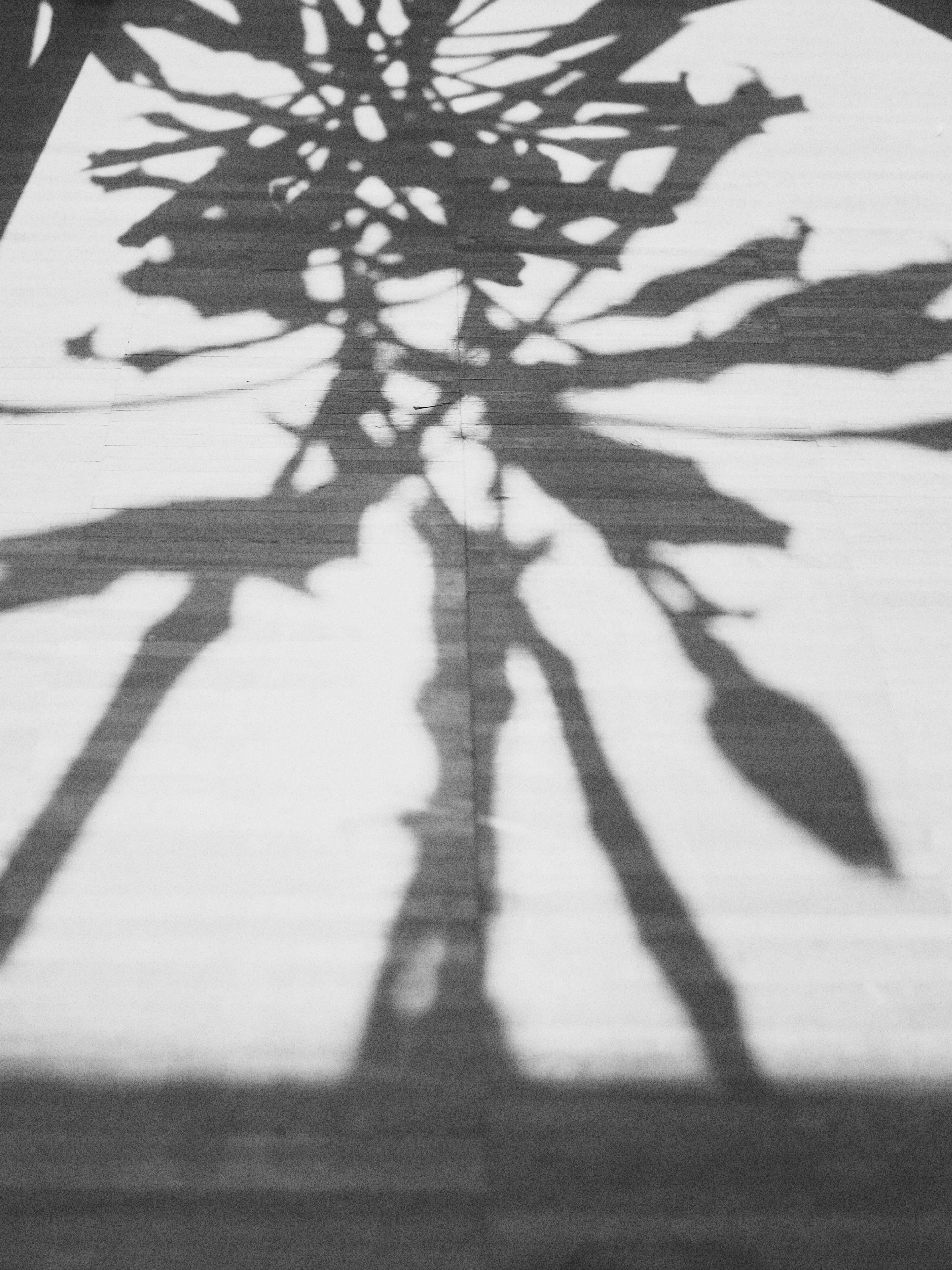 Shadows HD mobile wallpaper