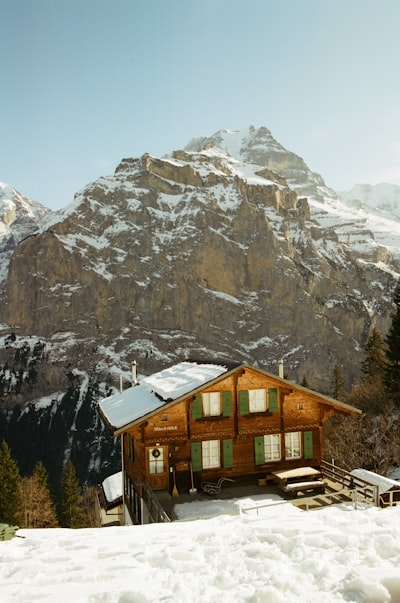 林木山屋与绿色小屋门立于雪点点的高山之上壁纸预览