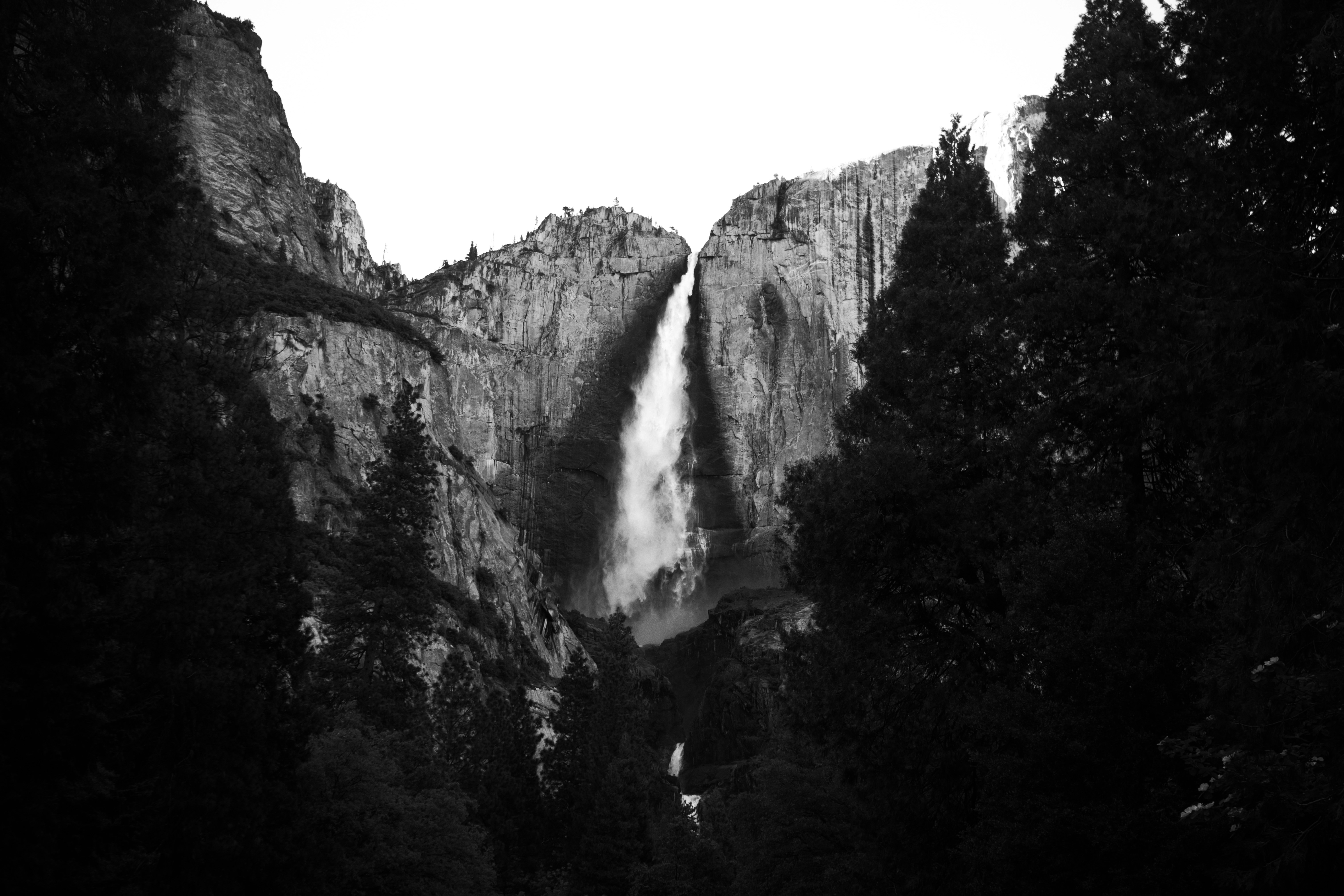 Yosemite Falls Thunders Down A Sheer Granite Face, Framed By Dark Conifers In This High-contrast Black And White. The Bright Plume Of Water Cuts Through The Shadowed Valley, Where The Upper Fall Plunges Into Mist Before Reaching The Lower Cascade. A Study In Light And Stone, Captured In Classic Monochrome. HD mobile wallpaper