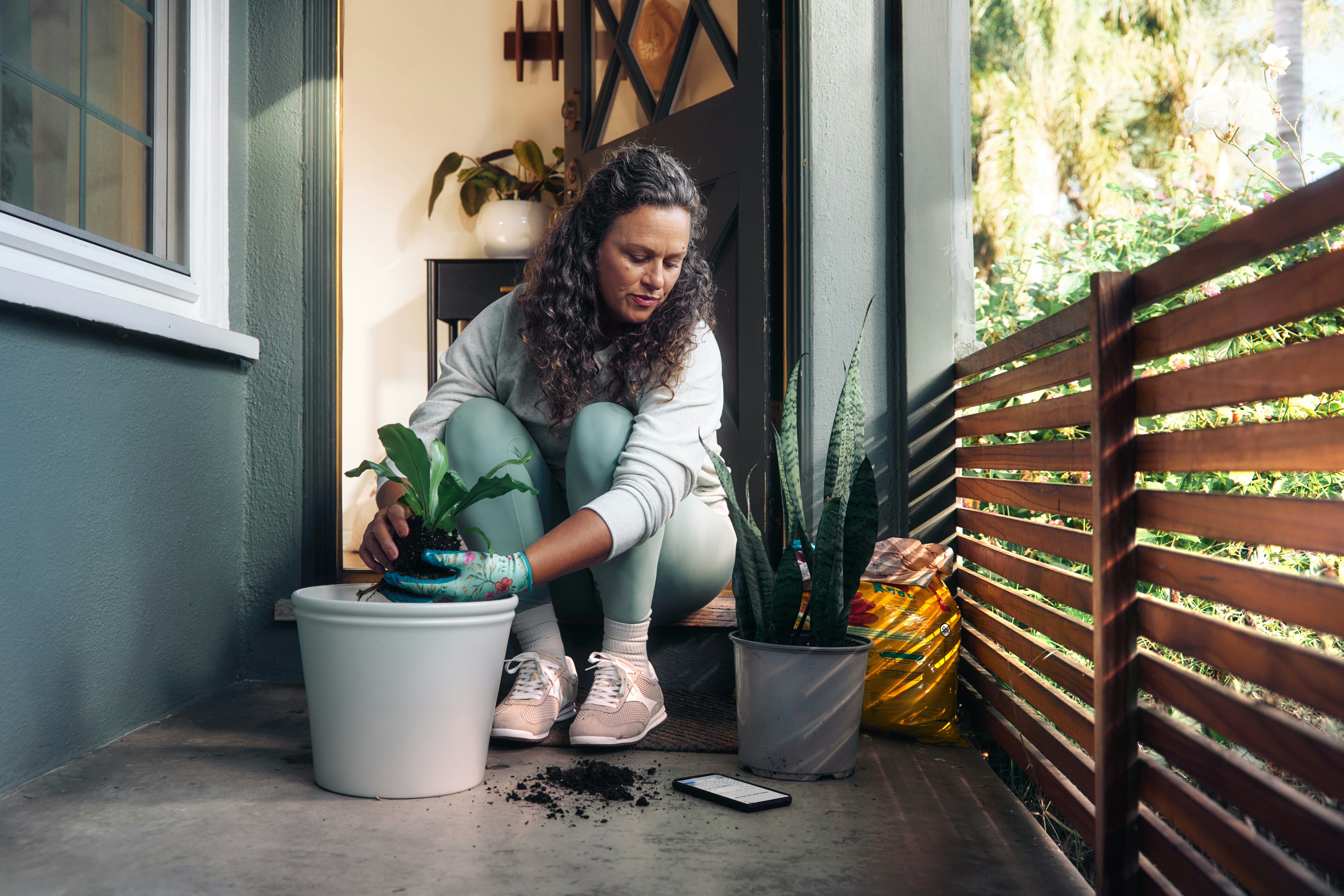 Woman Planting A Small Houseplant In A Pot. HD mobile wallpaper