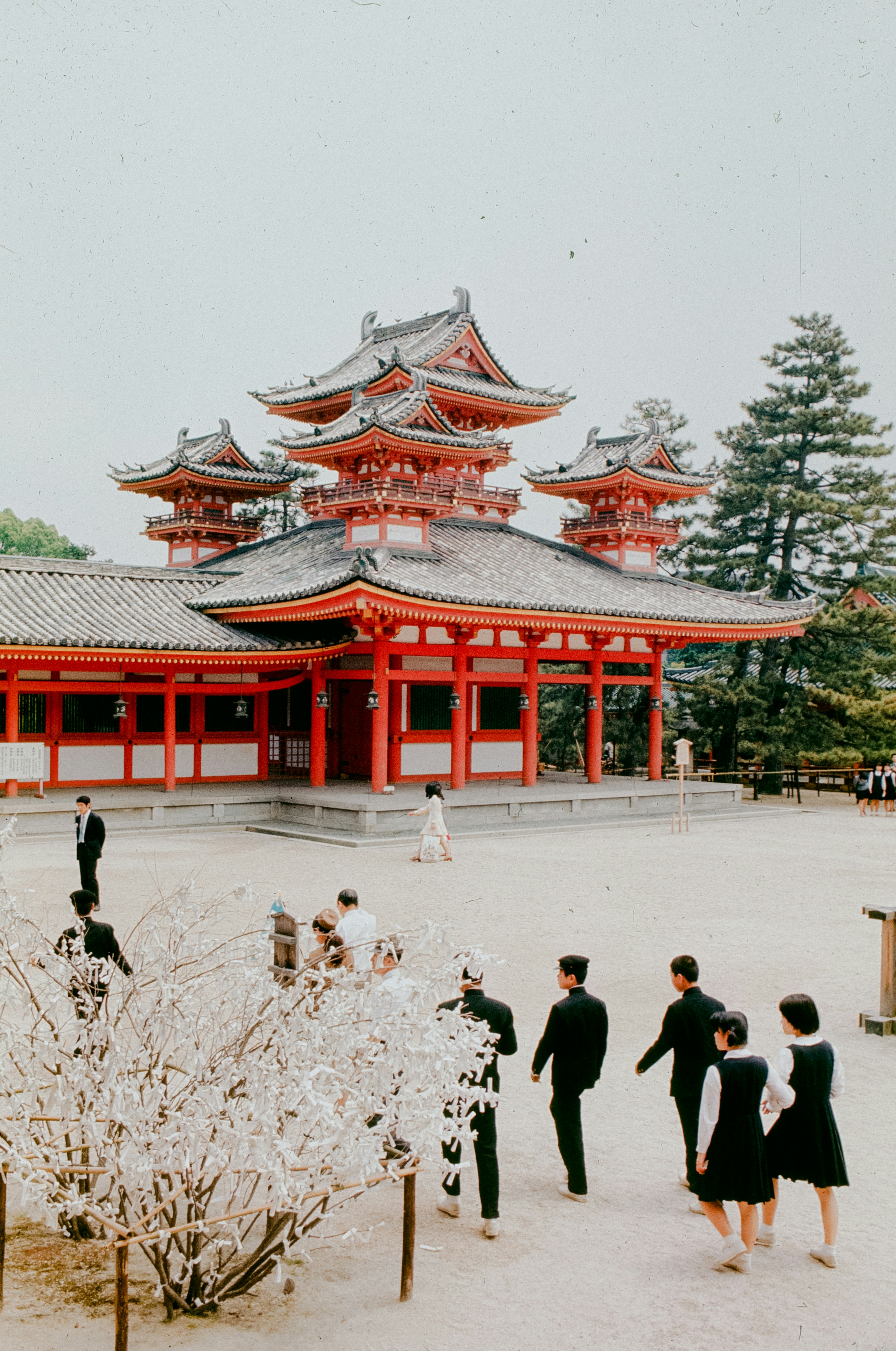日本传统寺院静谧庭院中行走的身影手机壁纸高清图片