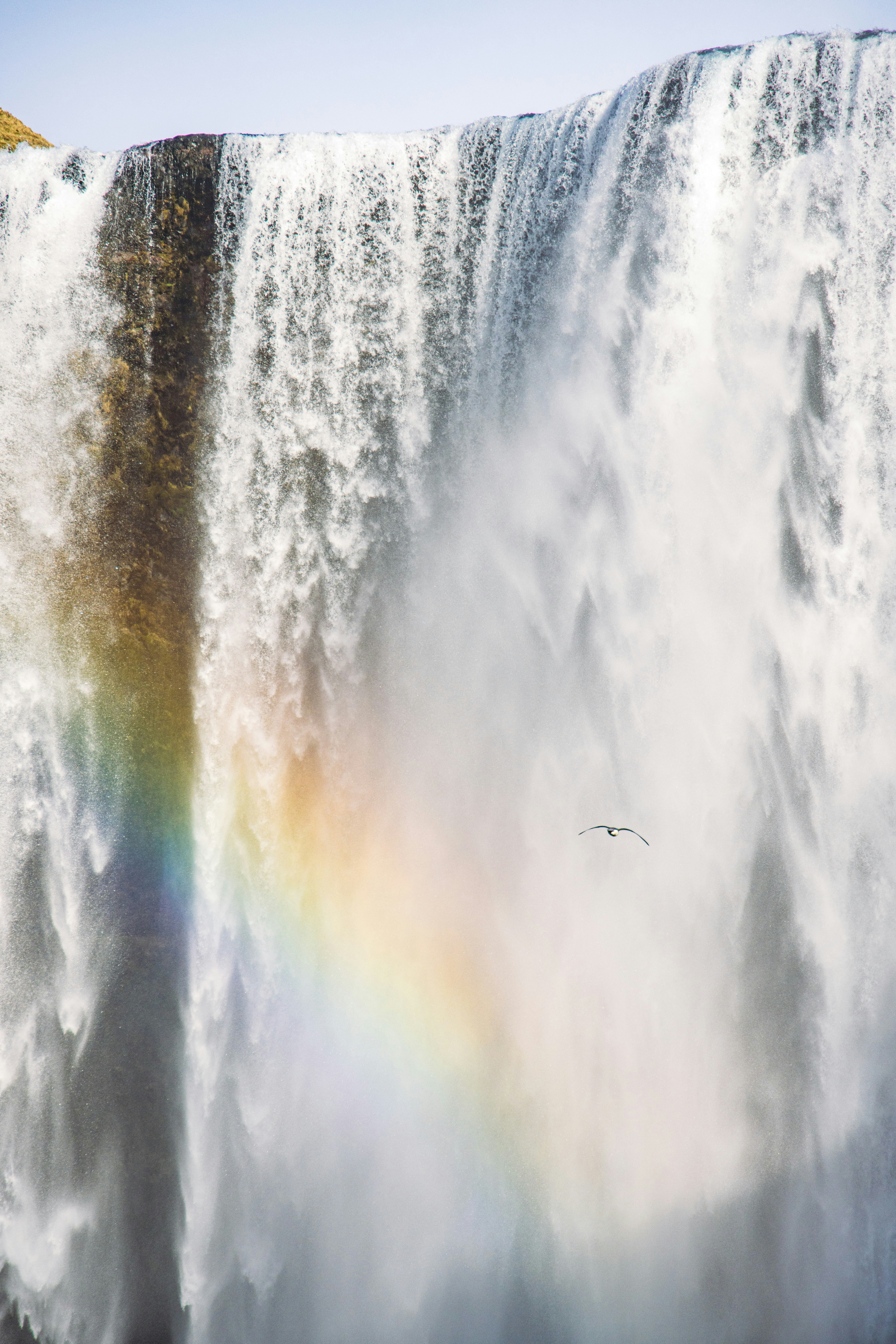 Majestic Waterfall With A Rainbow And A Bird. HD mobile wallpaper