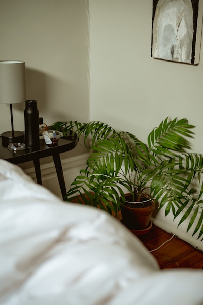 Bedroom Corner With A Plant And Bedside Table wallpaper preview