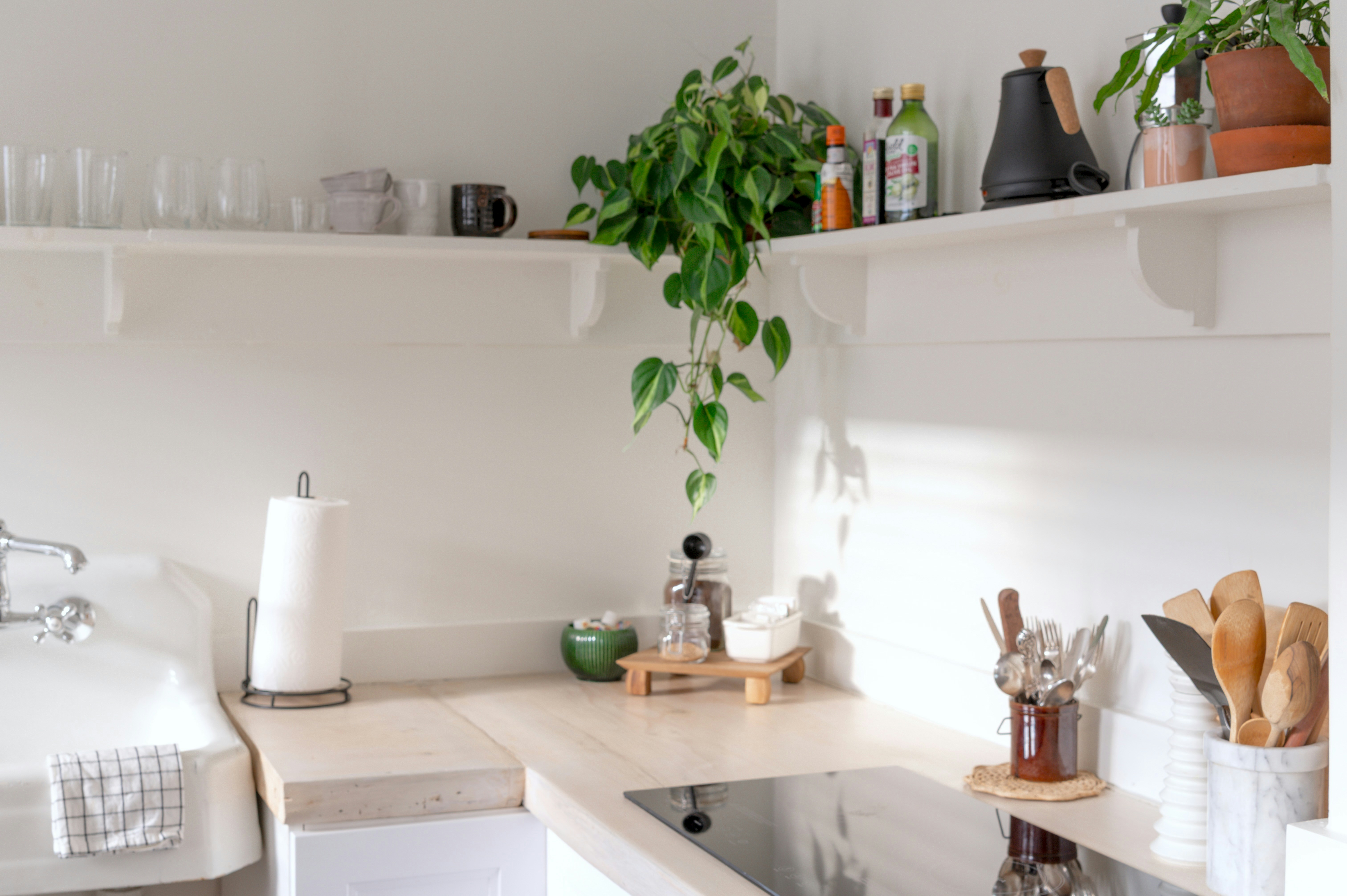 A Bright, Minimalist Kitchen With Plants, Shelves, And A Cooktop. HD mobile wallpaper
