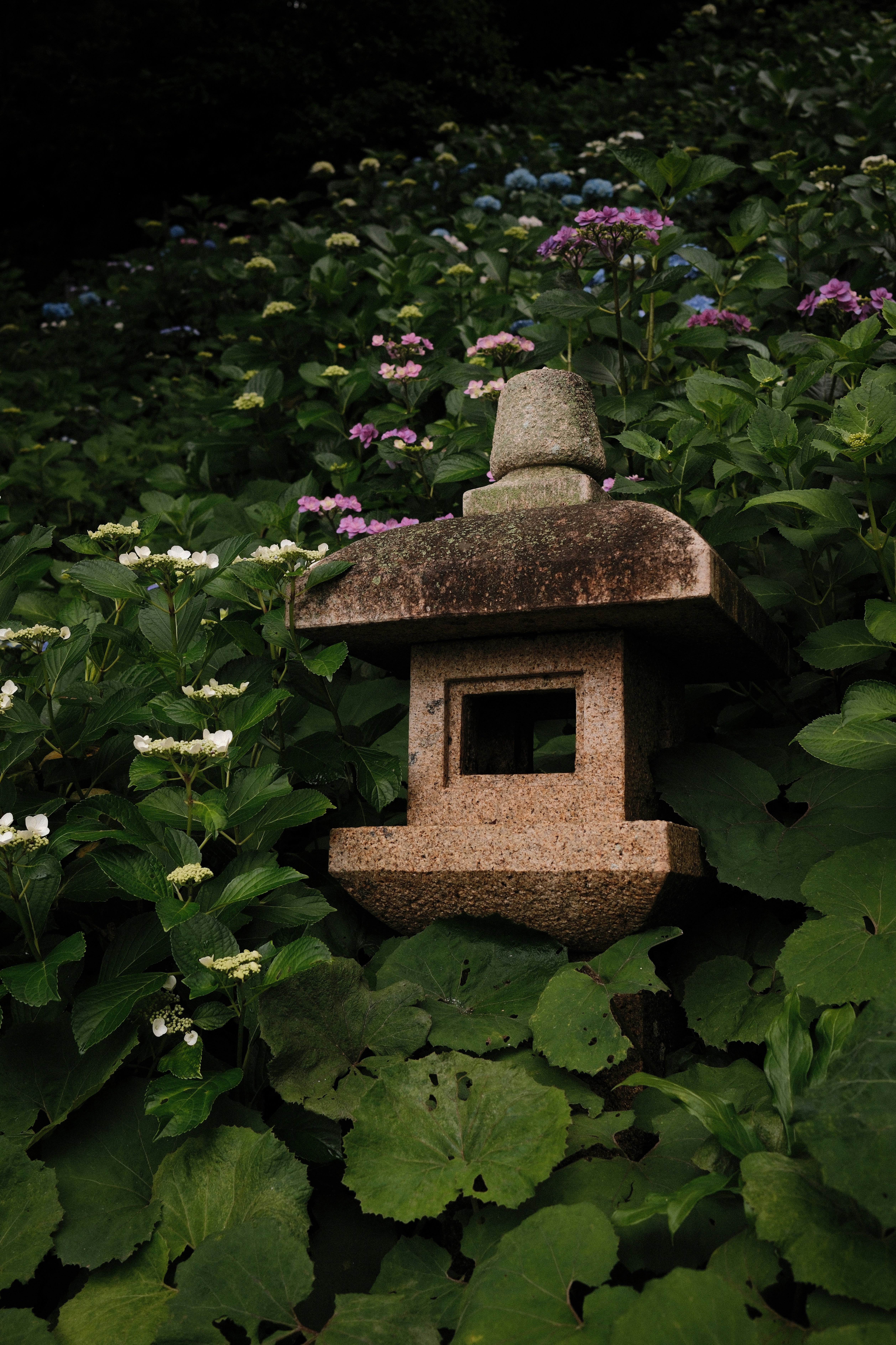Hidden Lanterns HD mobile wallpaper