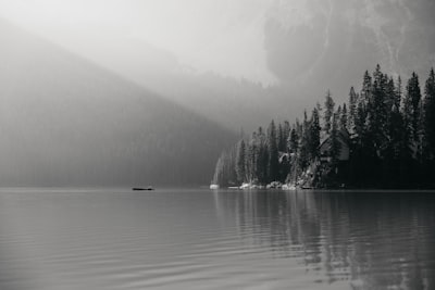 Misty Lake With Pine Trees And Sunbeams wallpaper preview