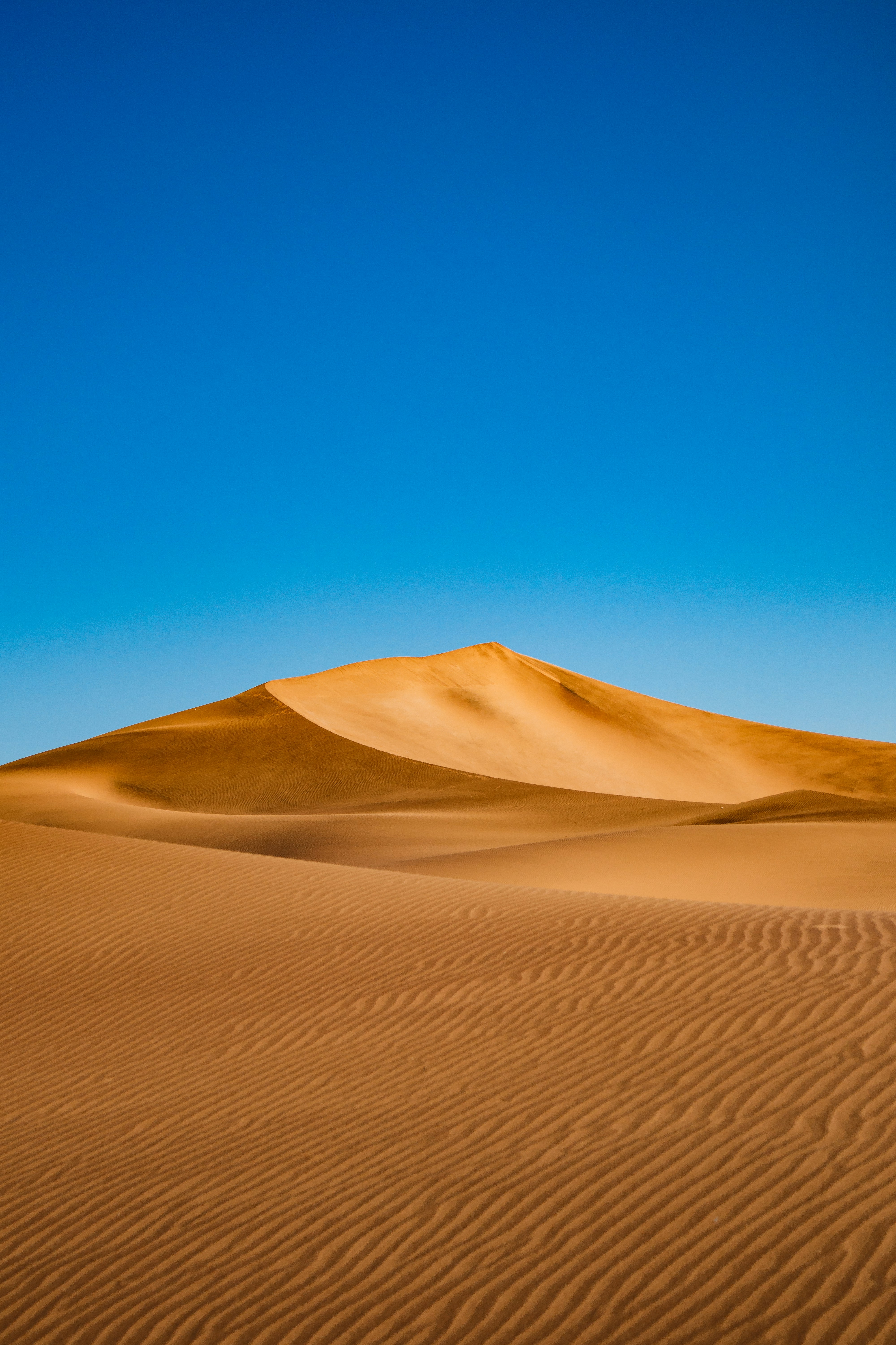 Golden Sand Dunes Under A Clear Blue Desert Sky. HD mobile wallpaper
