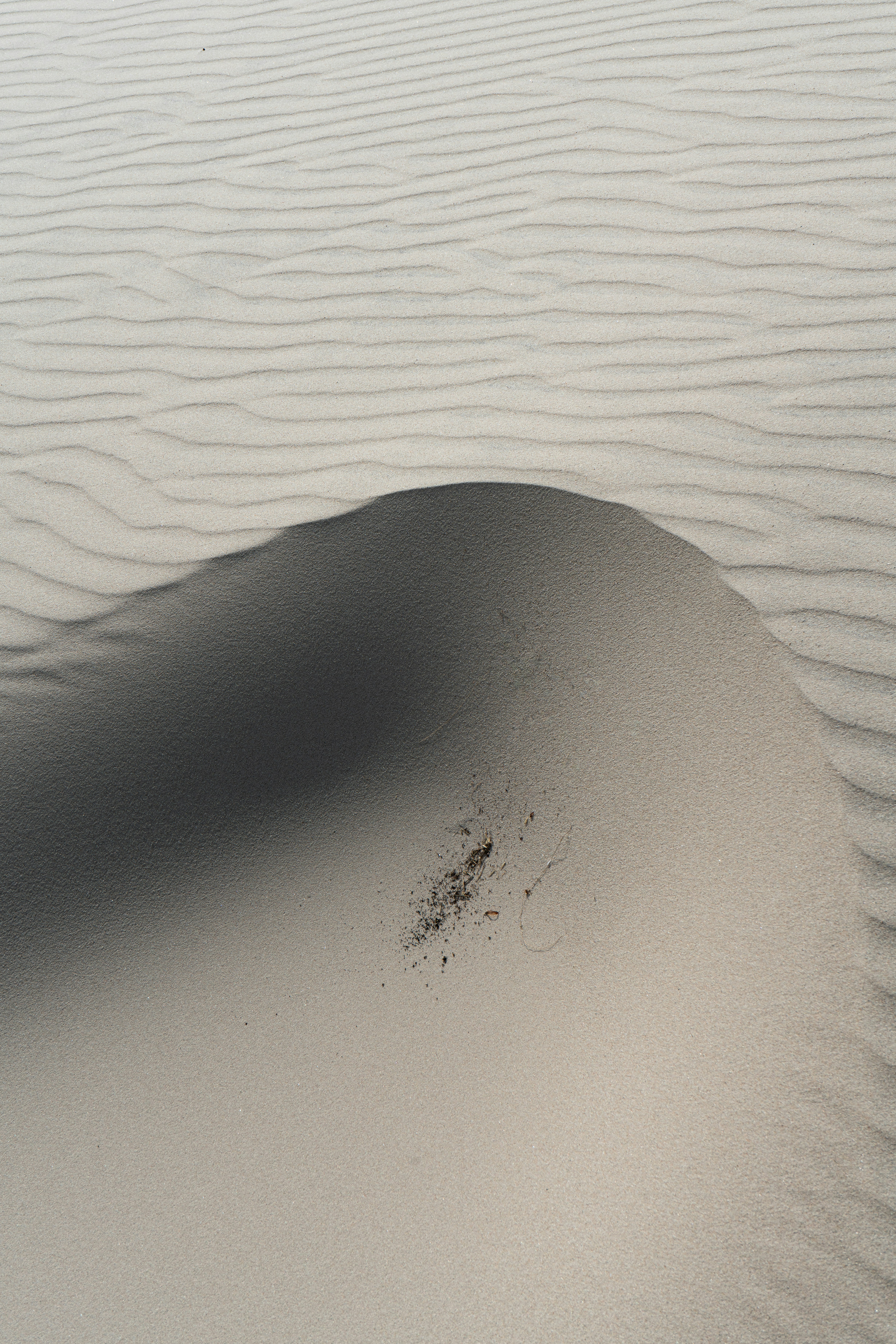 Textured Sand Dune With Ripple Marks And A Dark Shadow. HD mobile wallpaper