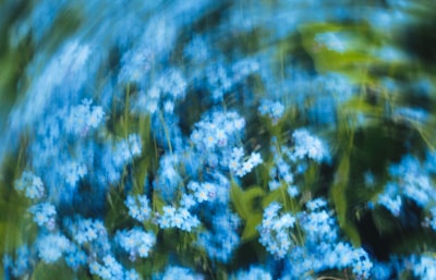 Abstract Blue Flowers With A Swirling Green Background. wallpaper preview