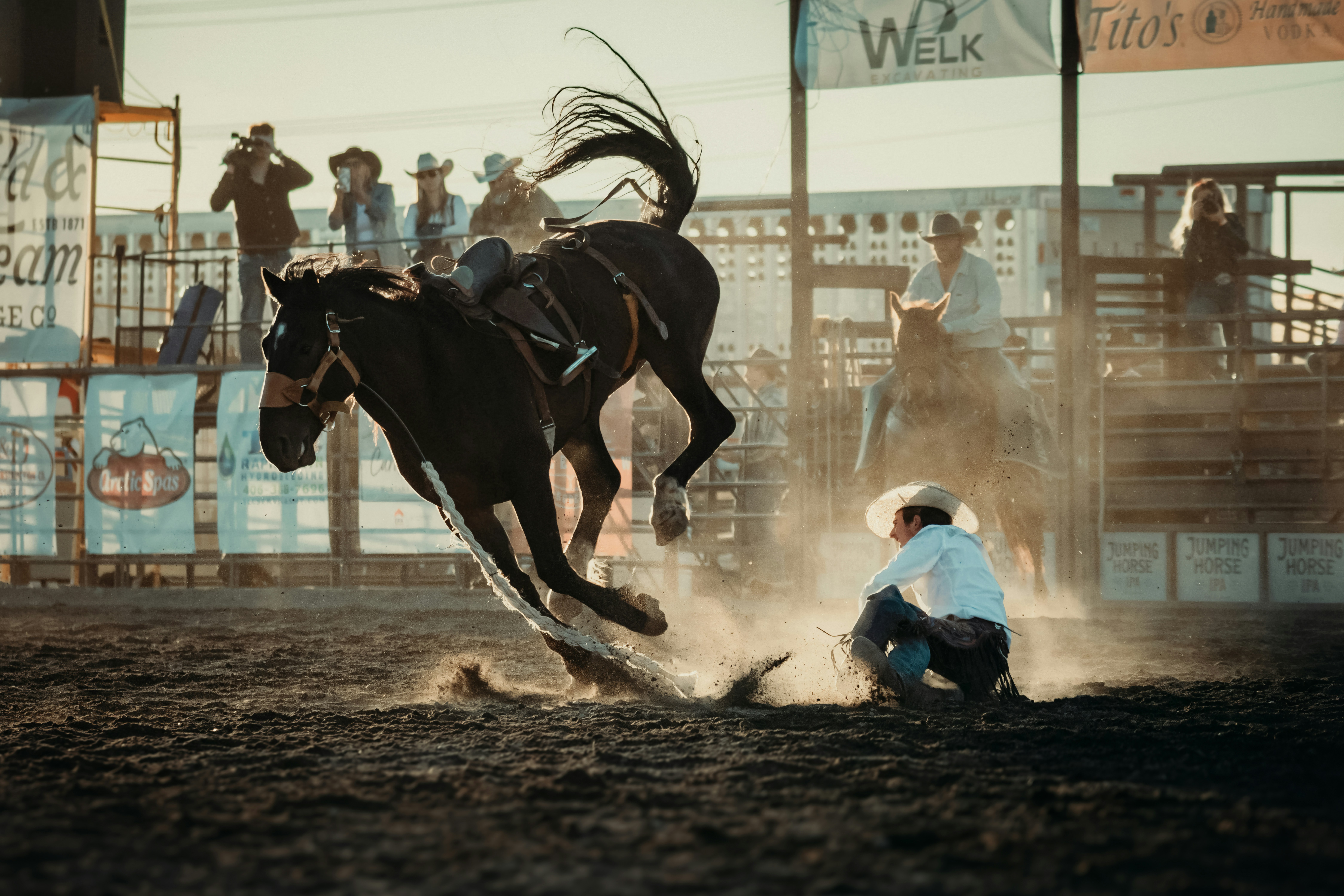 Horse 1, Cowboy 0 HD mobile wallpaper