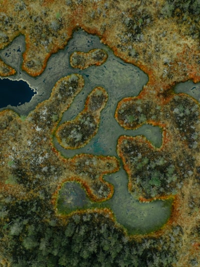Aerial View Of A Vibrant, Intricate Bog Landscape With Water. wallpaper preview