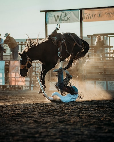 Cowboy Down wallpaper preview