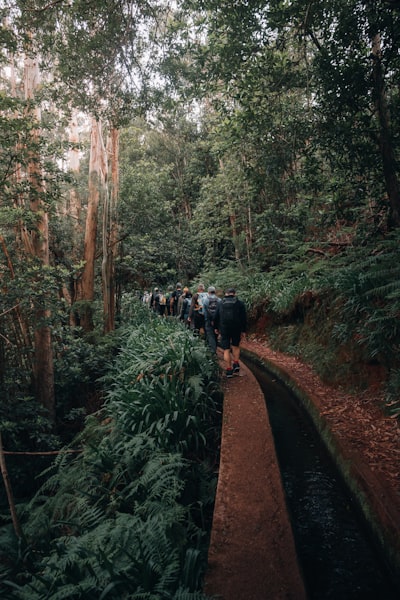 Há Caminhos Entre Amigos Tronam Se Caminhos Do Rei 🤴 wallpaper preview
