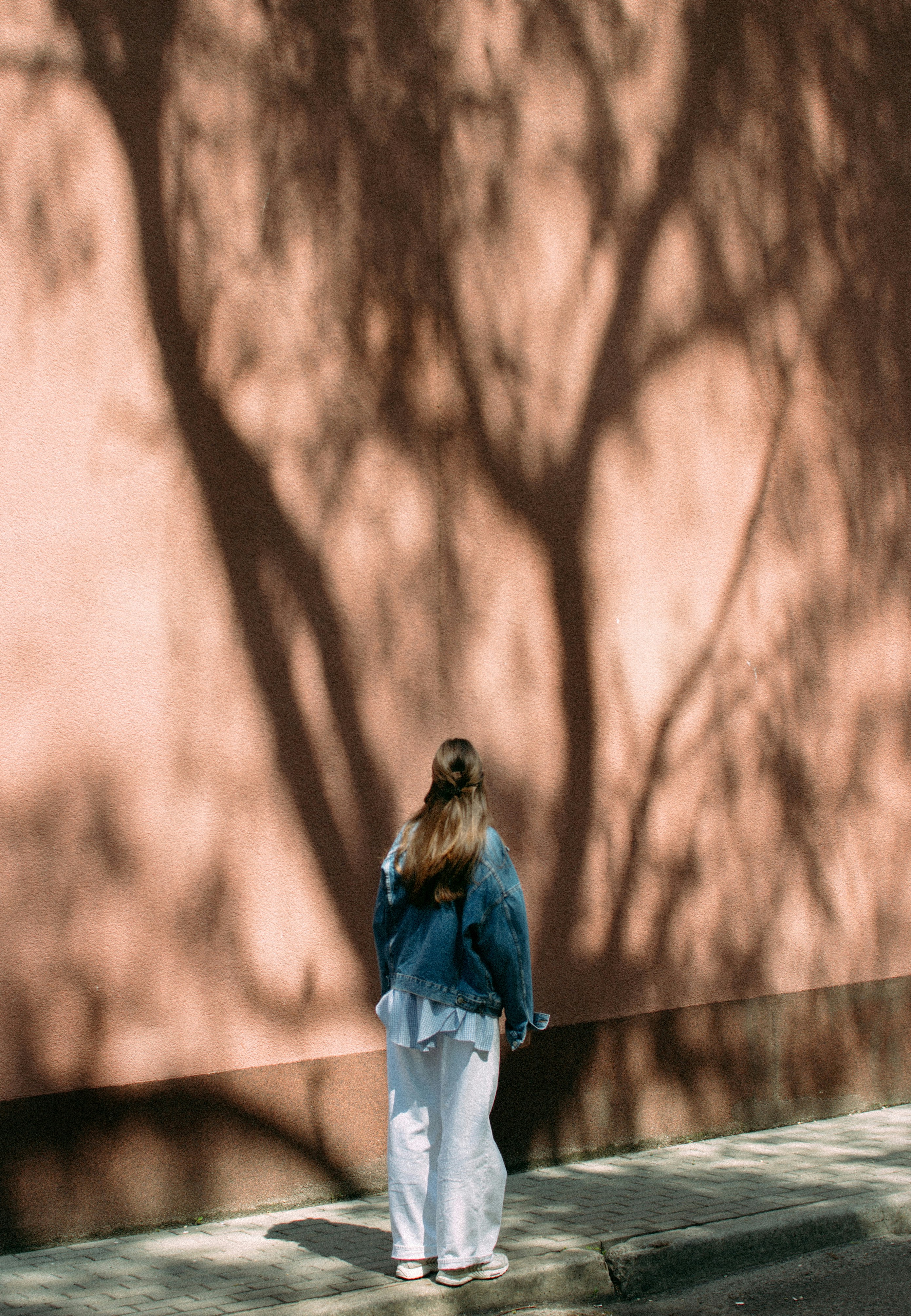 Shadow HD mobile wallpaper