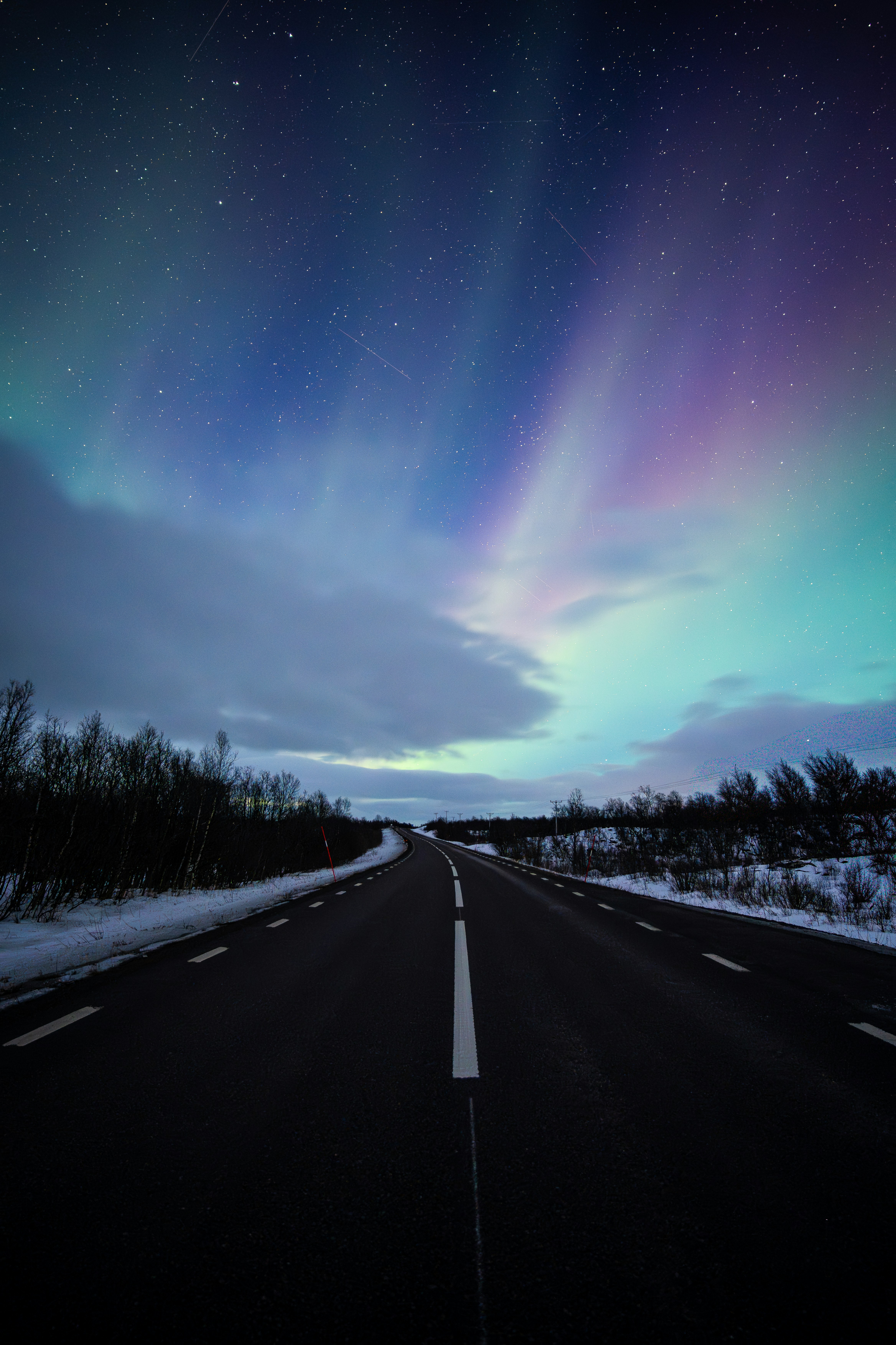 北極光在雪地小徑和夜空中的閃耀手機桌布高清圖片