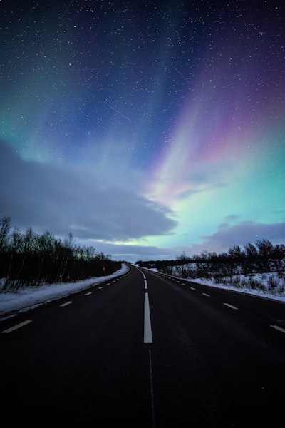 北极光绽放在雪地小径和星空之夜壁纸预览