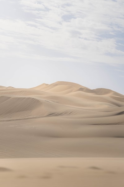 Rolling Sand Dunes Under A Cloudy Sky wallpaper preview
