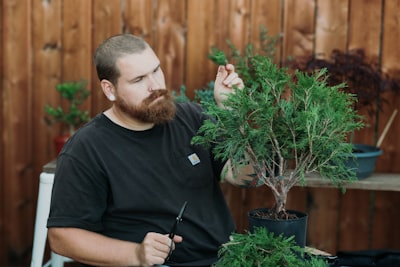 Bearded Man Pruning A Small Bonsai Tree wallpaper preview
