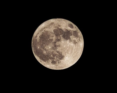 月亮黑夜之下的细微世界壁纸预览