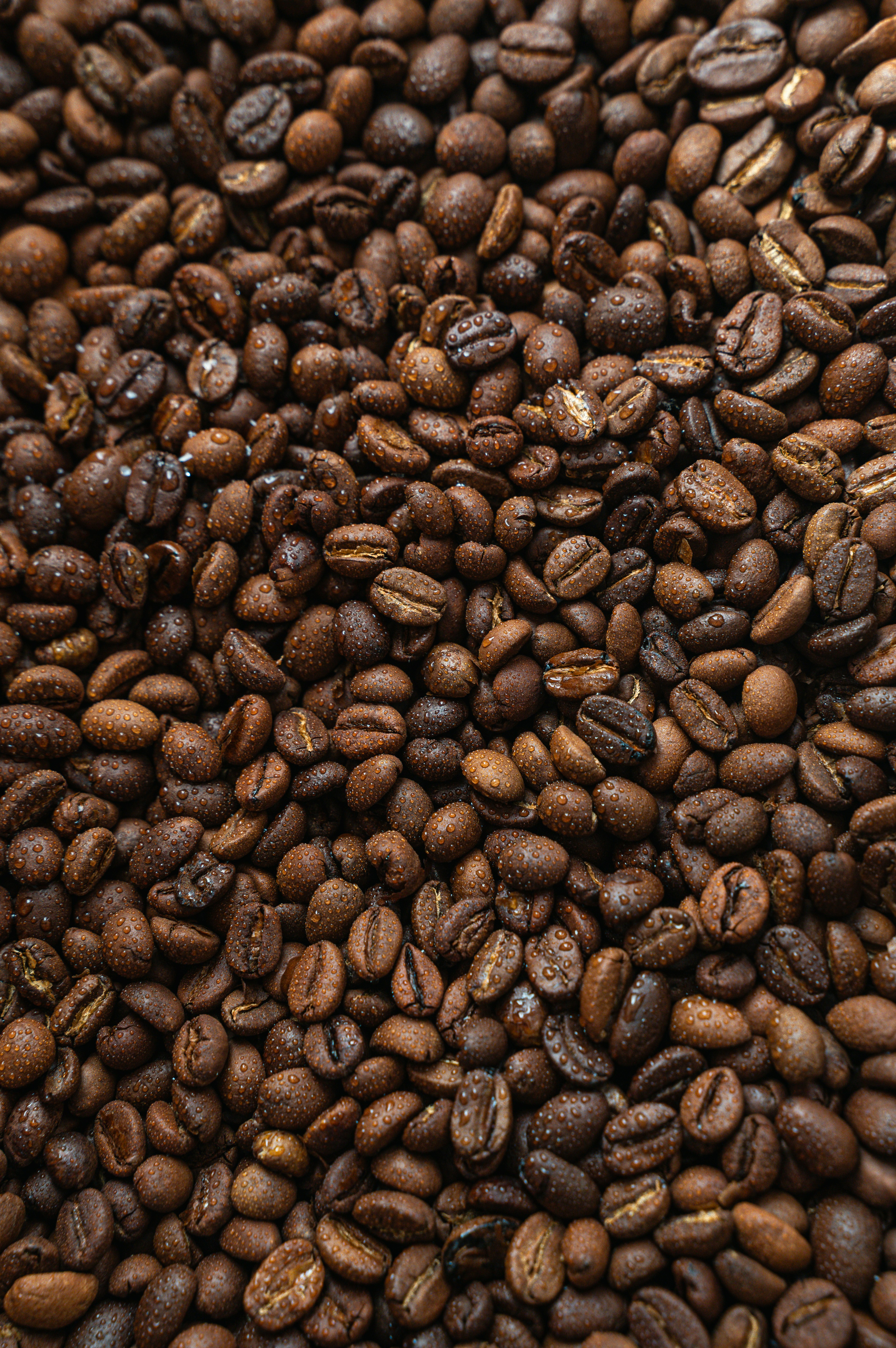 A Full Frame Of Dark Roasted Coffee Beans. HD mobile wallpaper