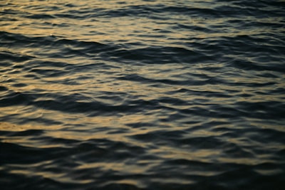 Rippling Dark Water Reflecting Golden Hour Light wallpaper preview