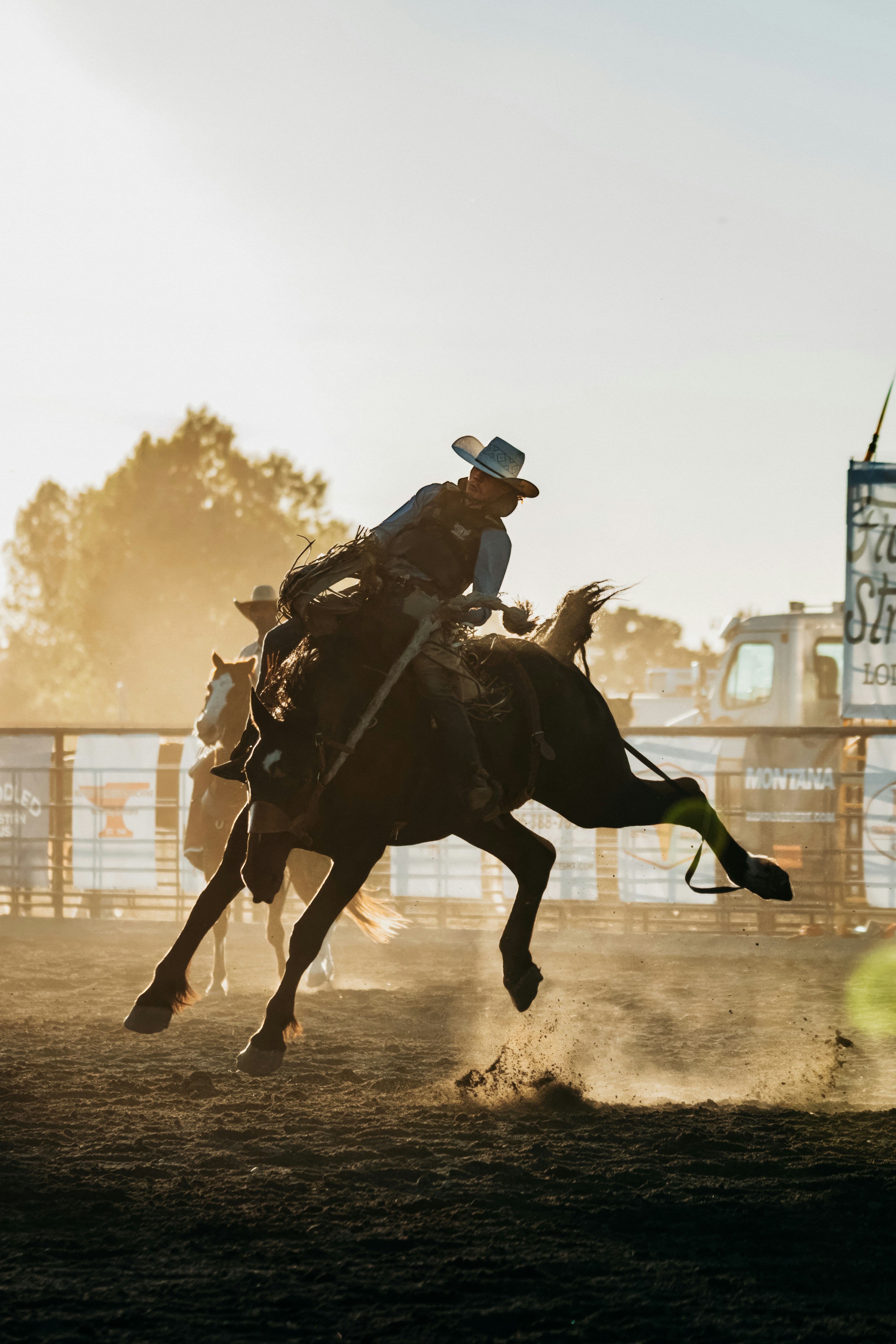 Ride 'em Cowboy! HD mobile wallpaper