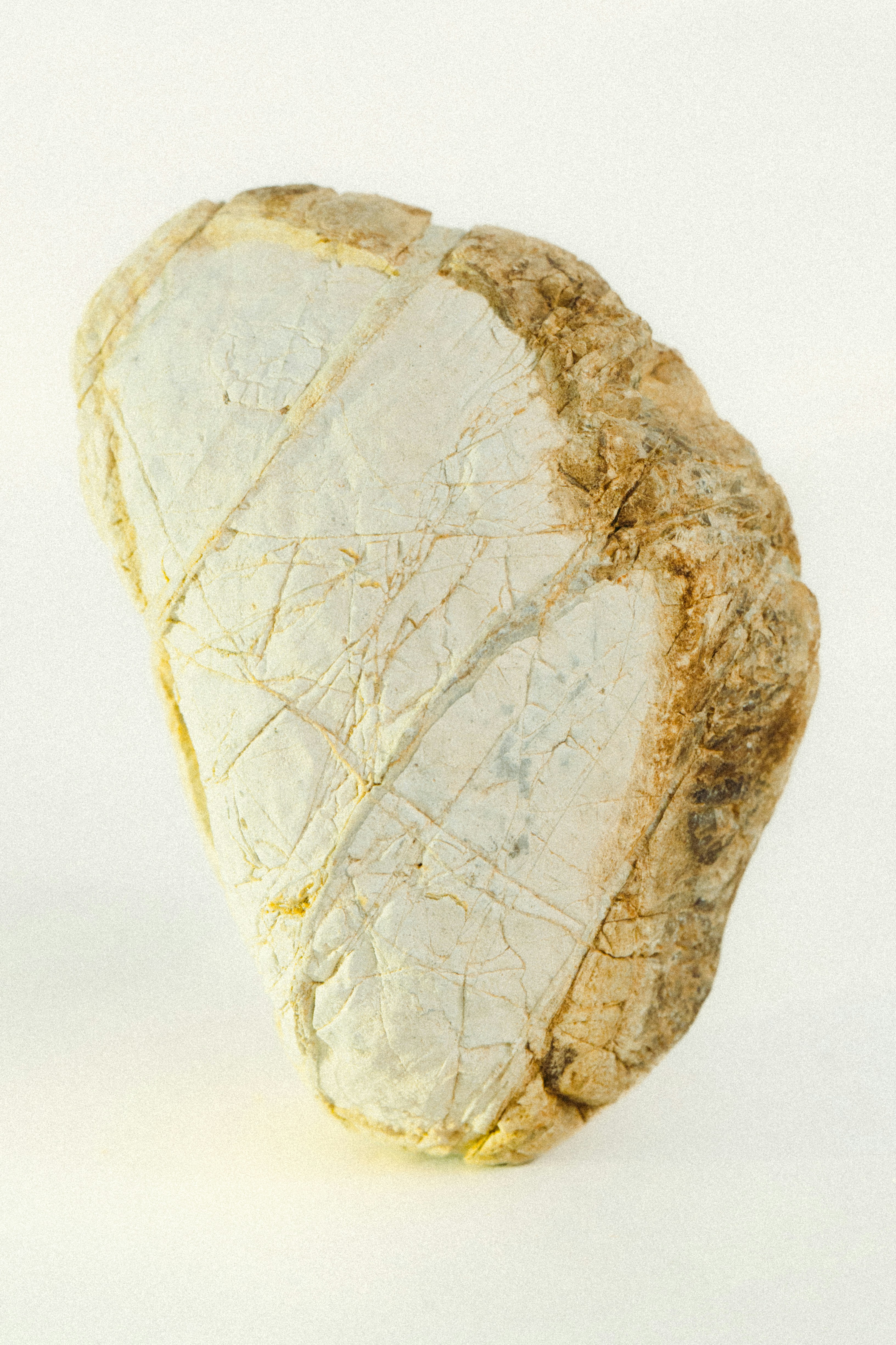 A Light-colored Rock With Cracks On A White Background. HD mobile wallpaper