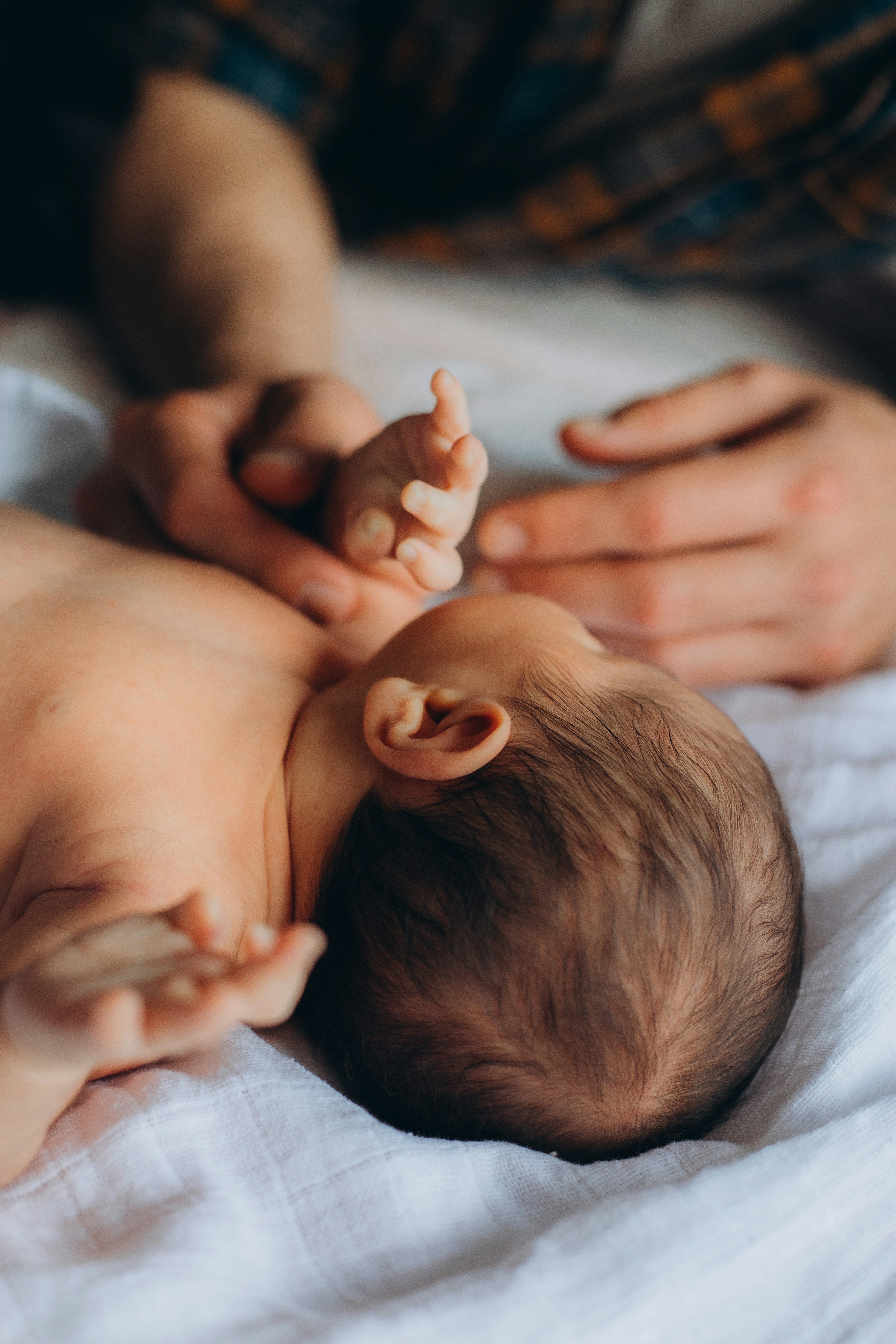 Adult Hands Gently Hold A Newborn Baby's Tiny Feet. HD mobile wallpaper