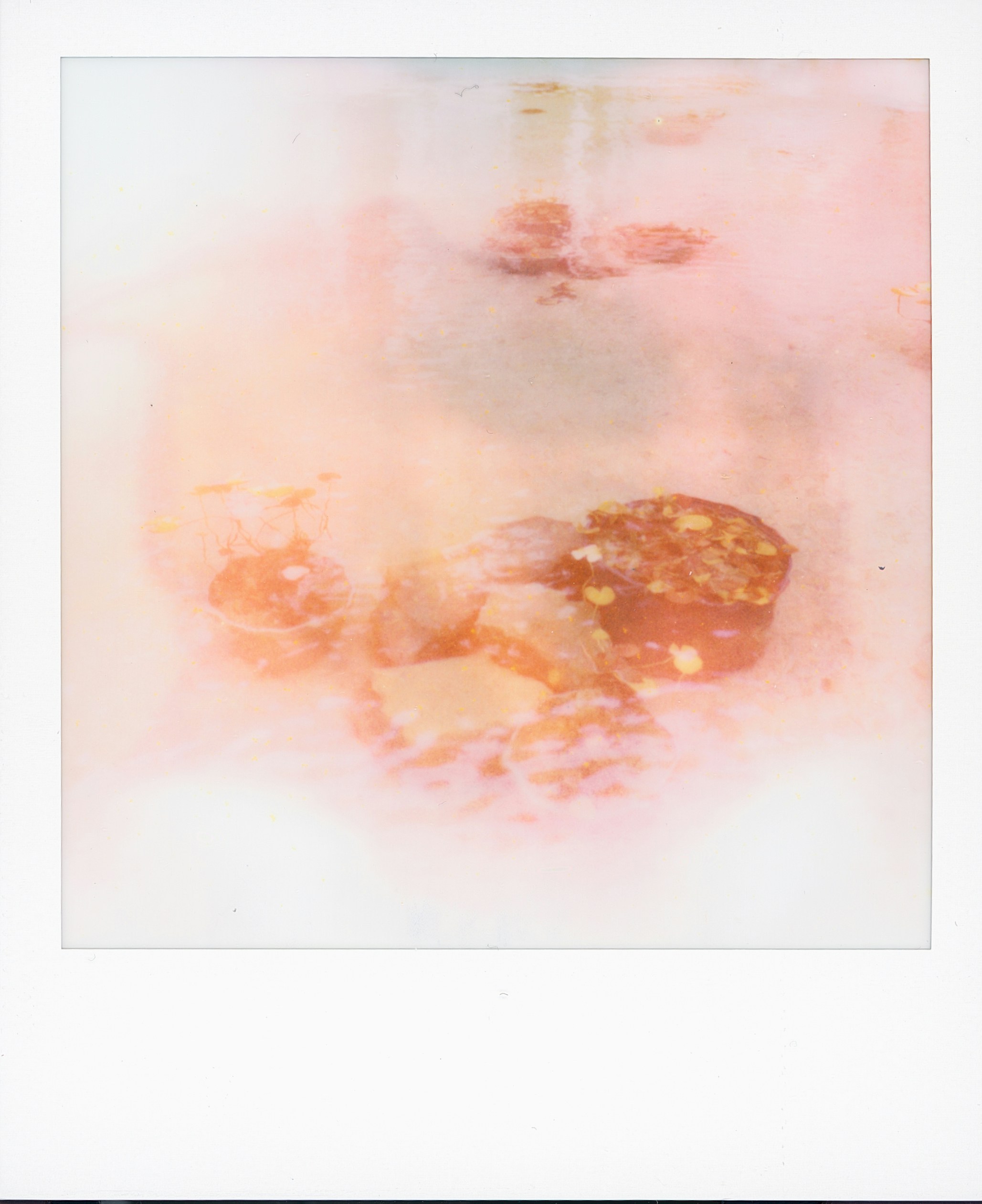 Soft Focus Polaroid With Dark, Textured Elements. HD mobile wallpaper