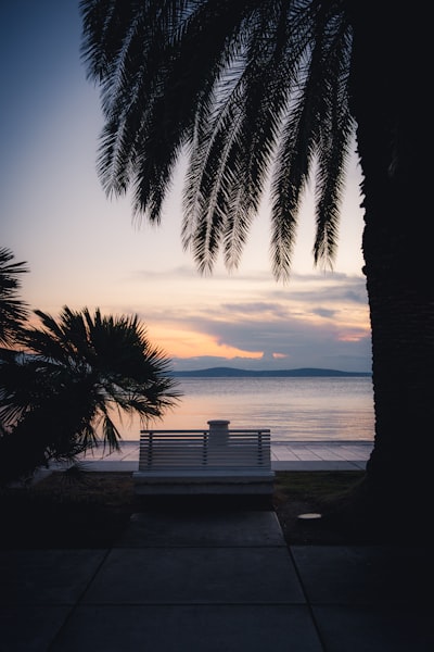 Palm Trees Silhouette A Bench Overlooking A Sunset Ocean wallpaper preview