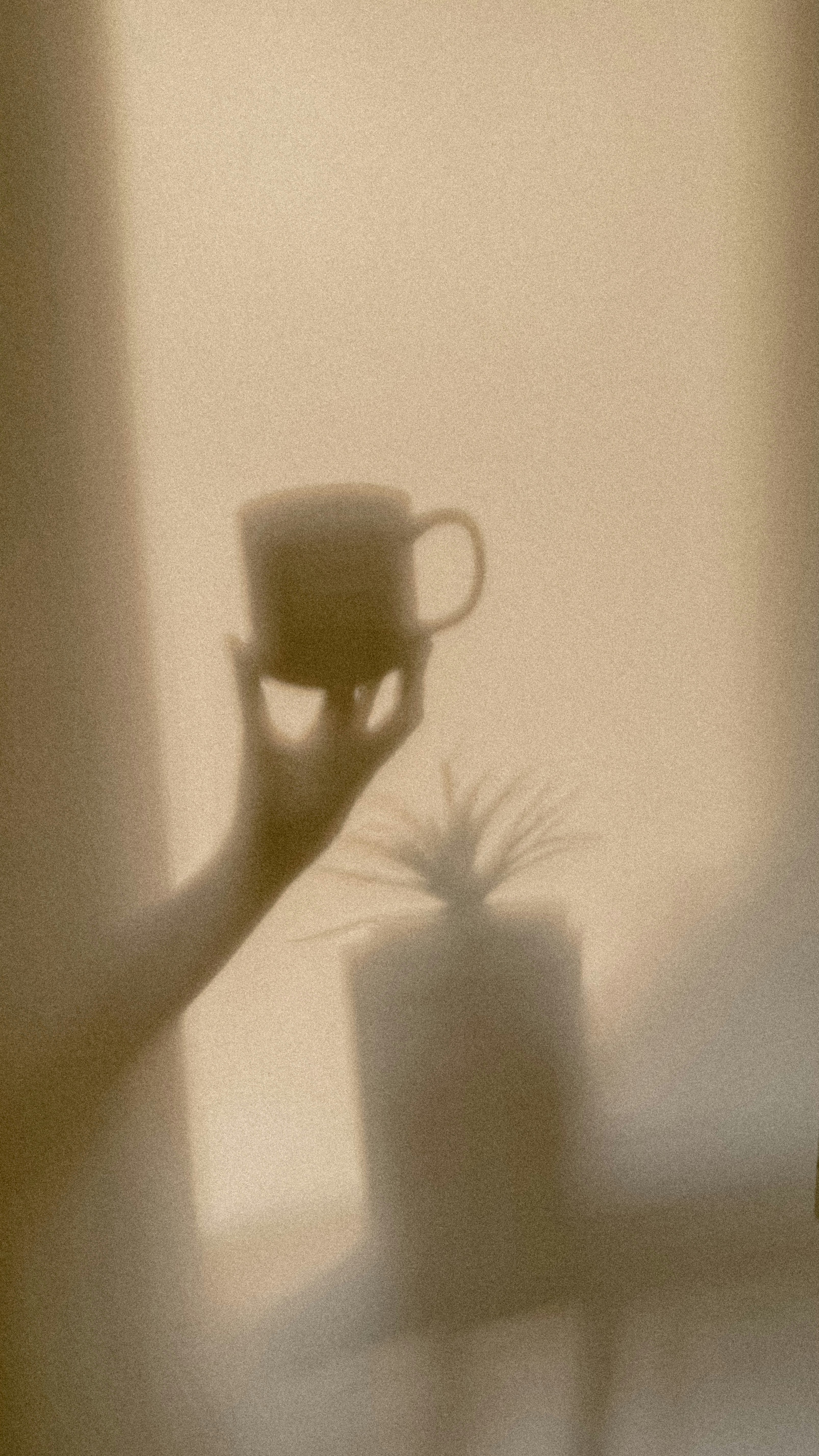 温暖的阴影中的手、茶杯和花盆手机壁纸高清图片
