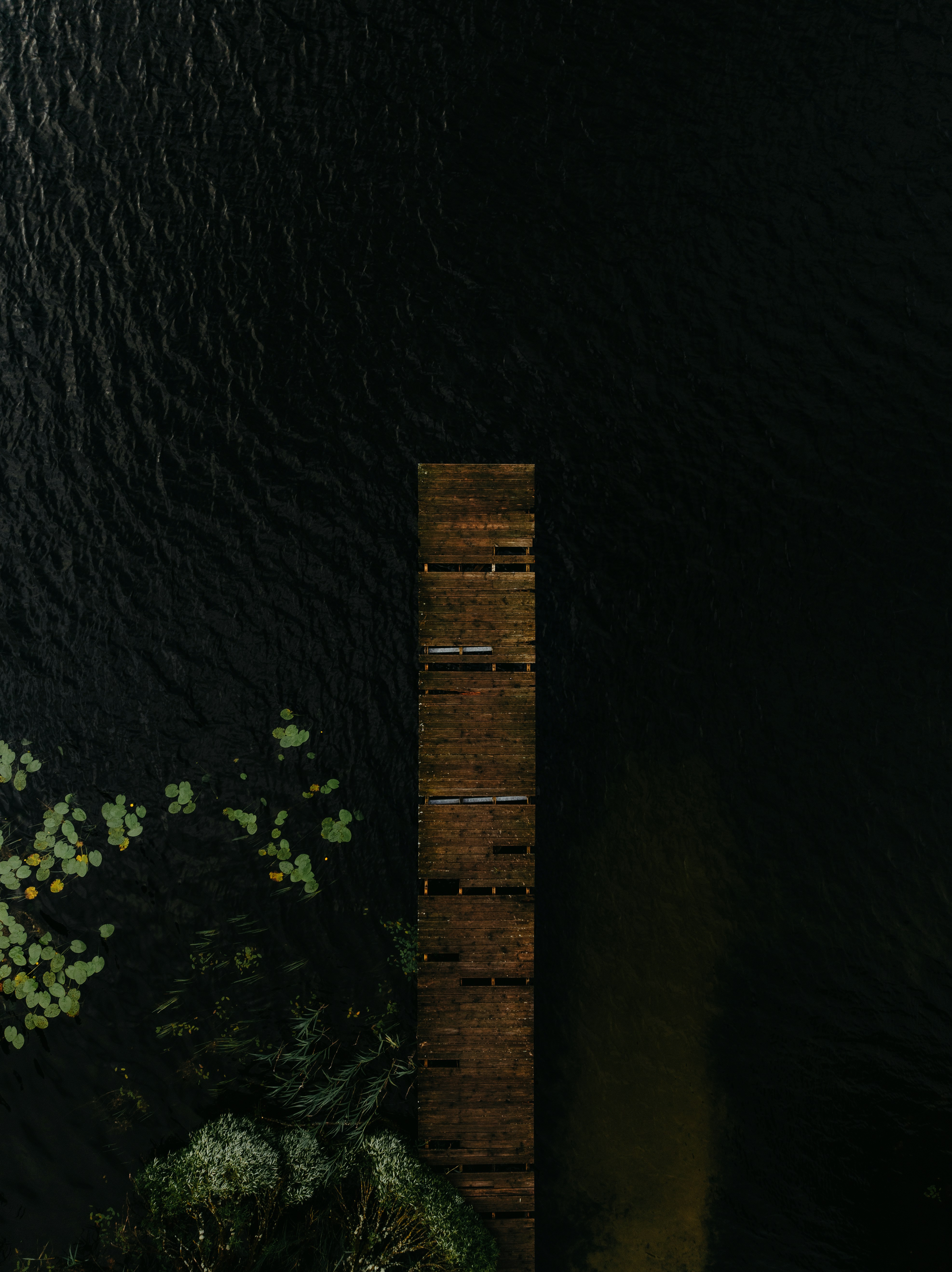 A Wooden Pier On Dark Water With Green Lily Pads. HD mobile wallpaper