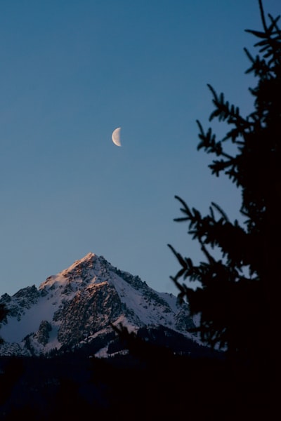 A Crescent Moon Above A Snow-capped Mountain Peak With A Silhouetted Pine Tree wallpaper preview