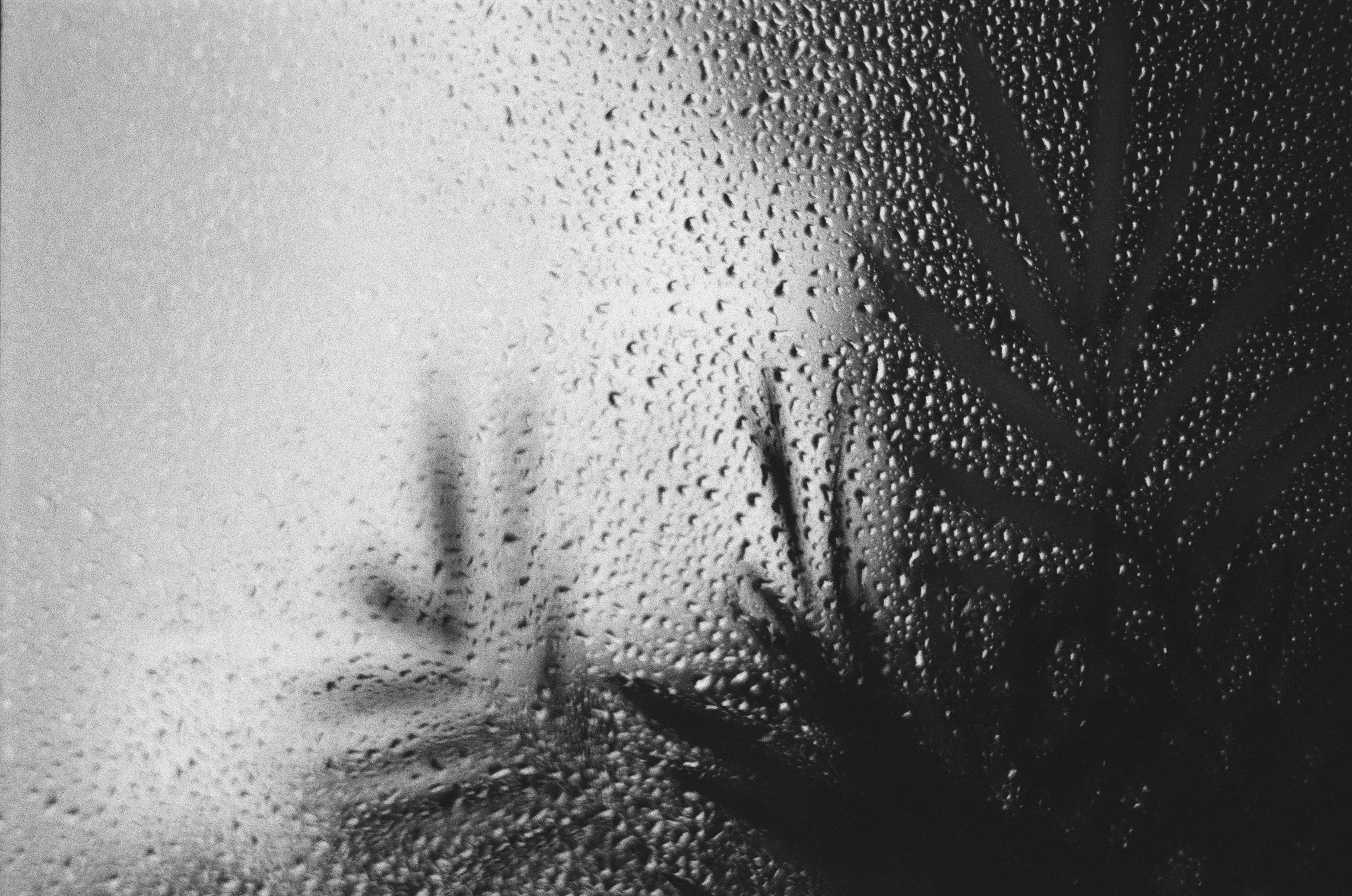 Raindrops On A Window Pane With The Silhouette Of A Palm Leaf Behind HD mobile wallpaper