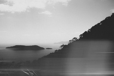 林坡眺海·黑白静景壁纸预览