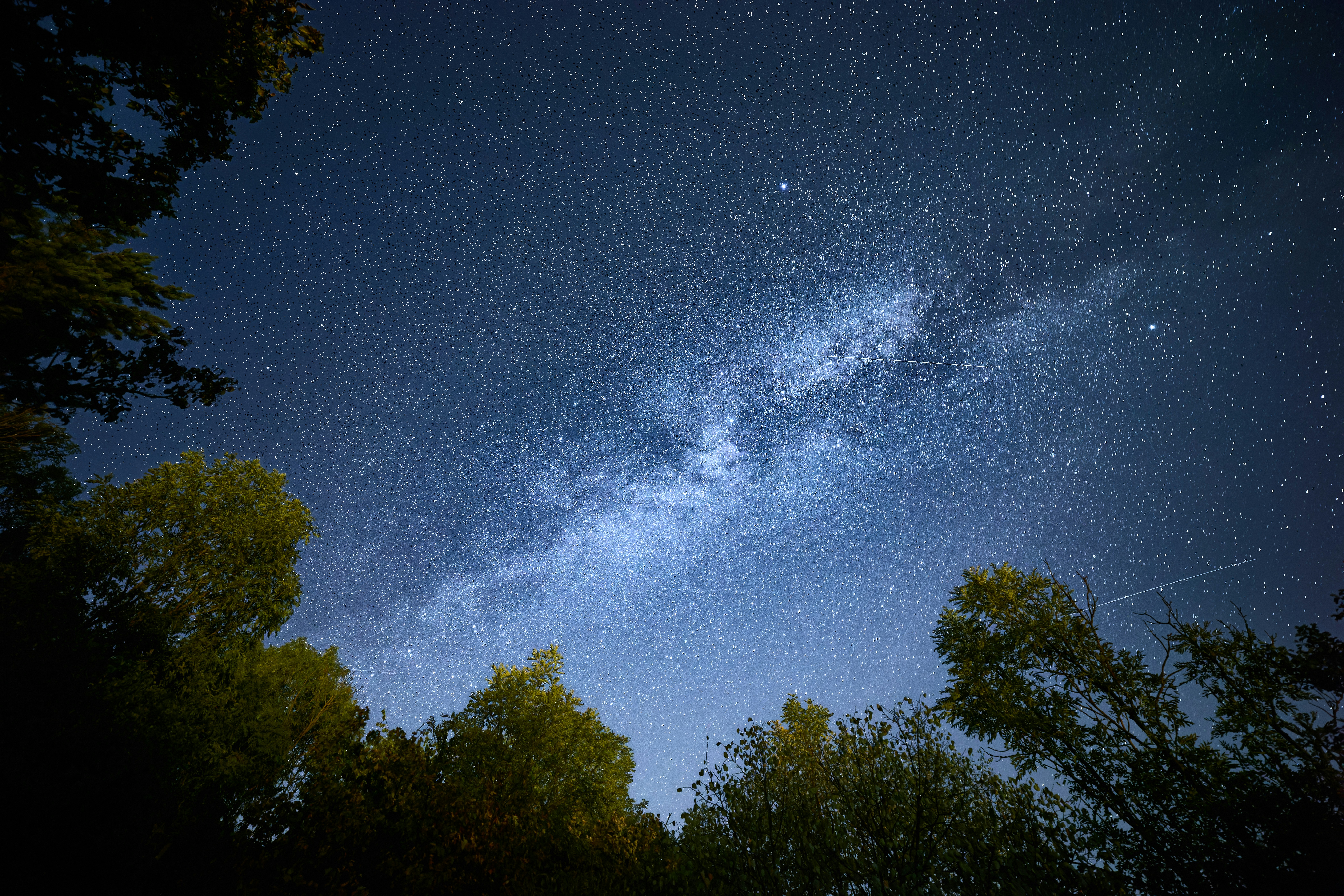 星空之海在密林树影之上泛起灿烂的光芒手机壁纸高清图片